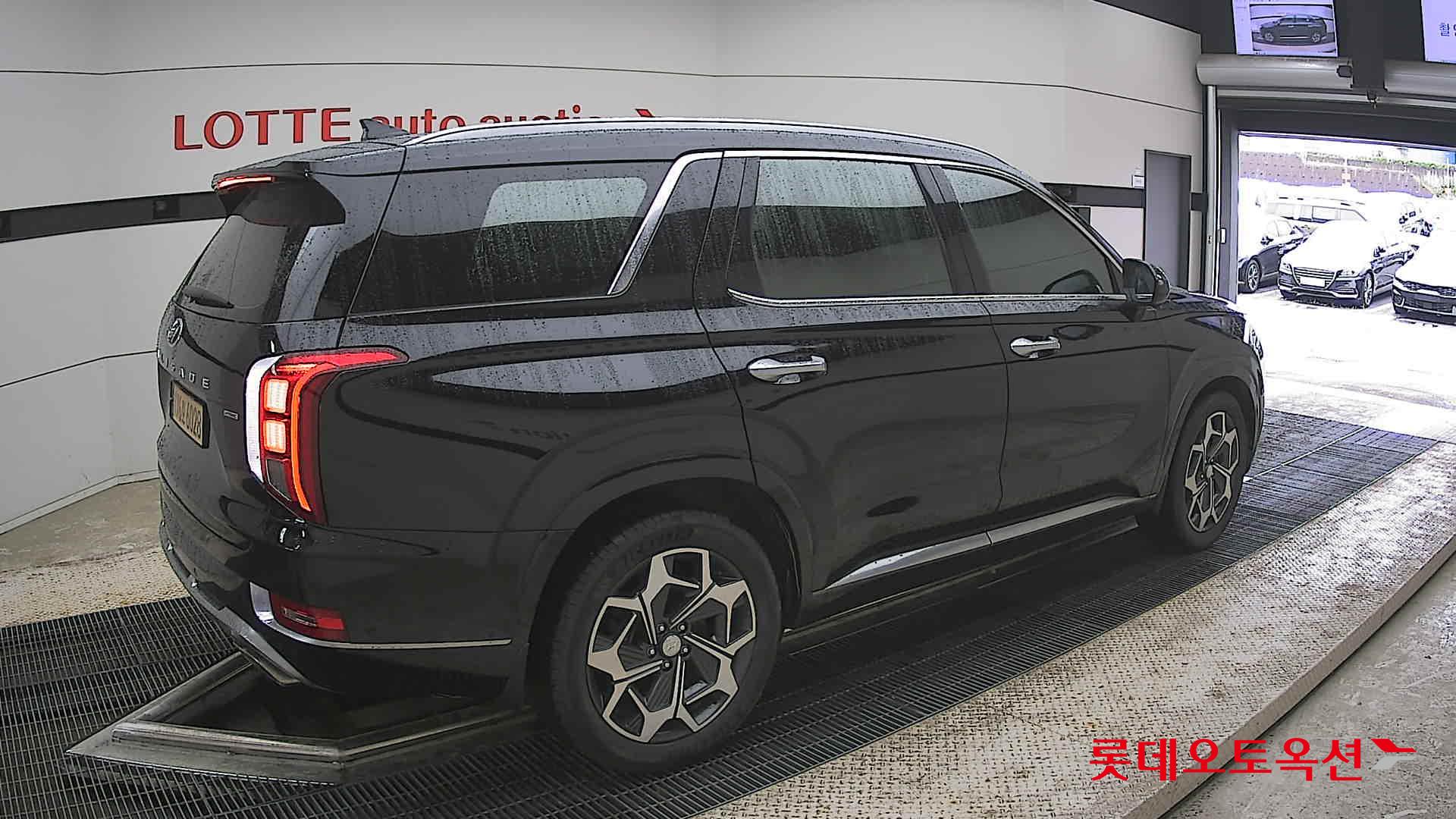 Hyundai Palisade - 19