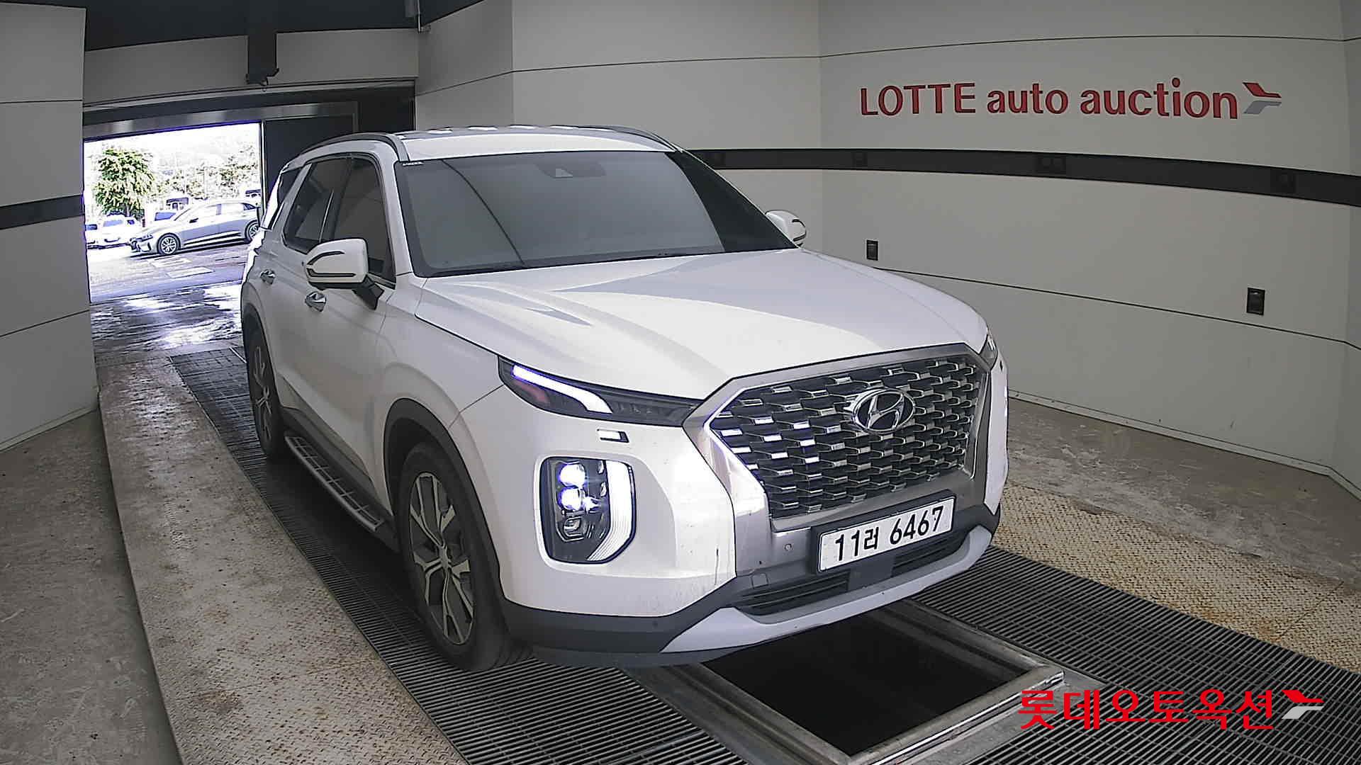2019 - hyundai palisade