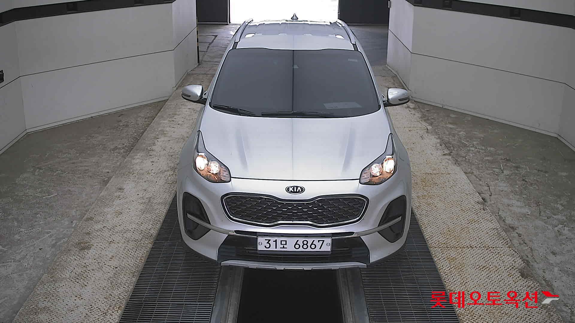 BOLD SPORTAGE (D)
