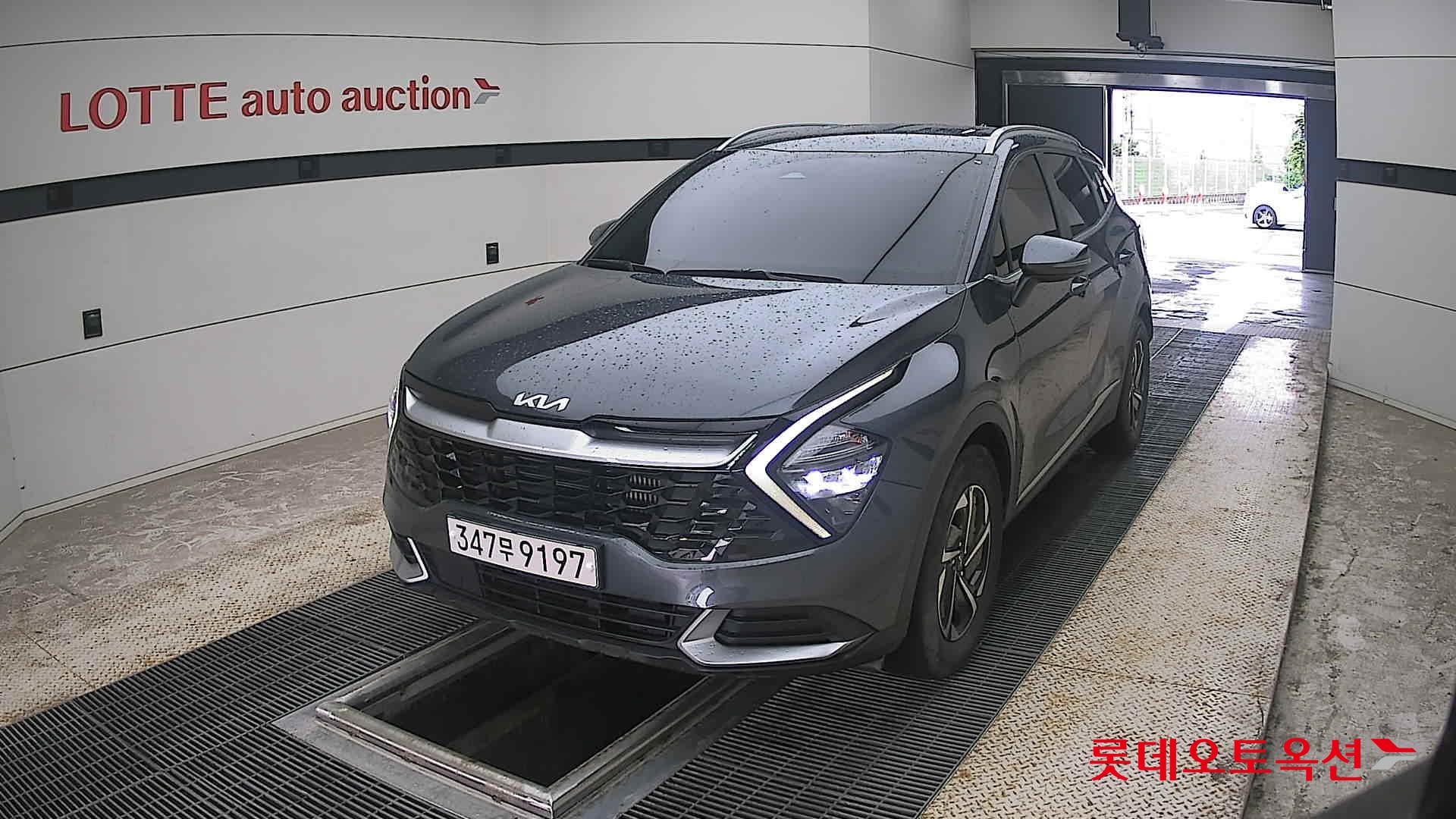 2023 - kia sportage