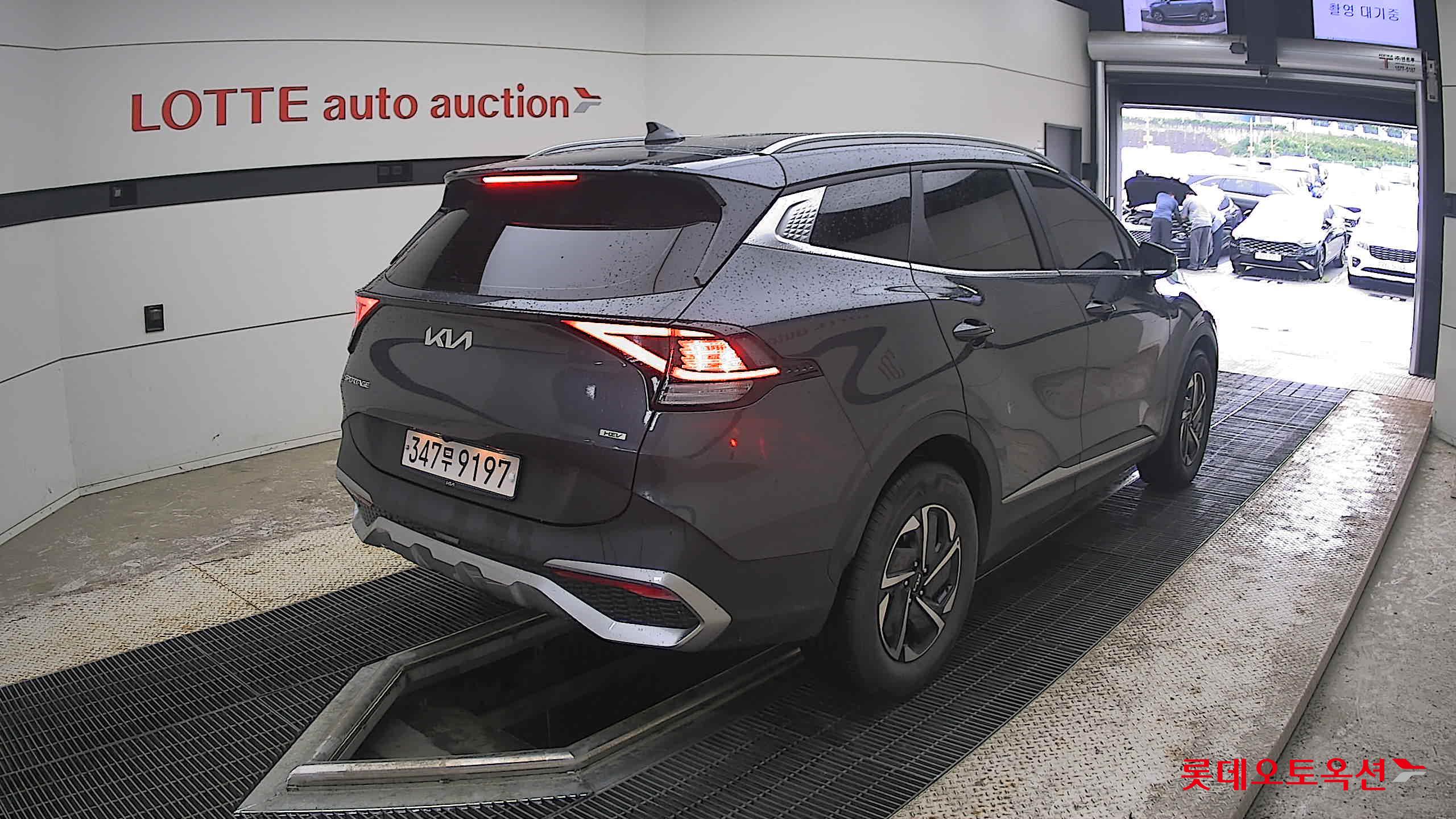 2023 - kia sportage