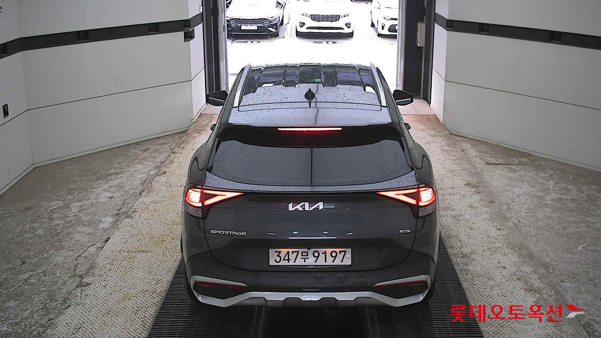 2023 - kia sportage