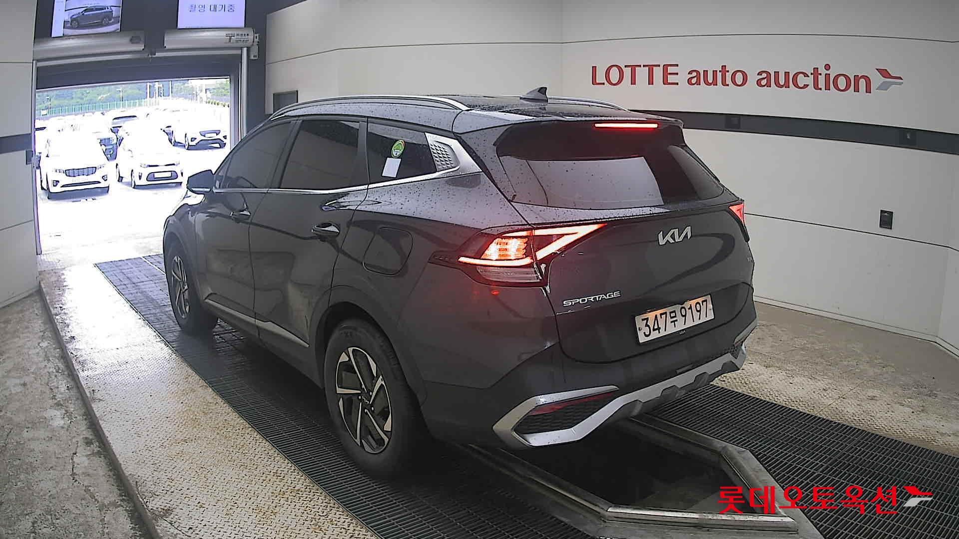2023 - kia sportage