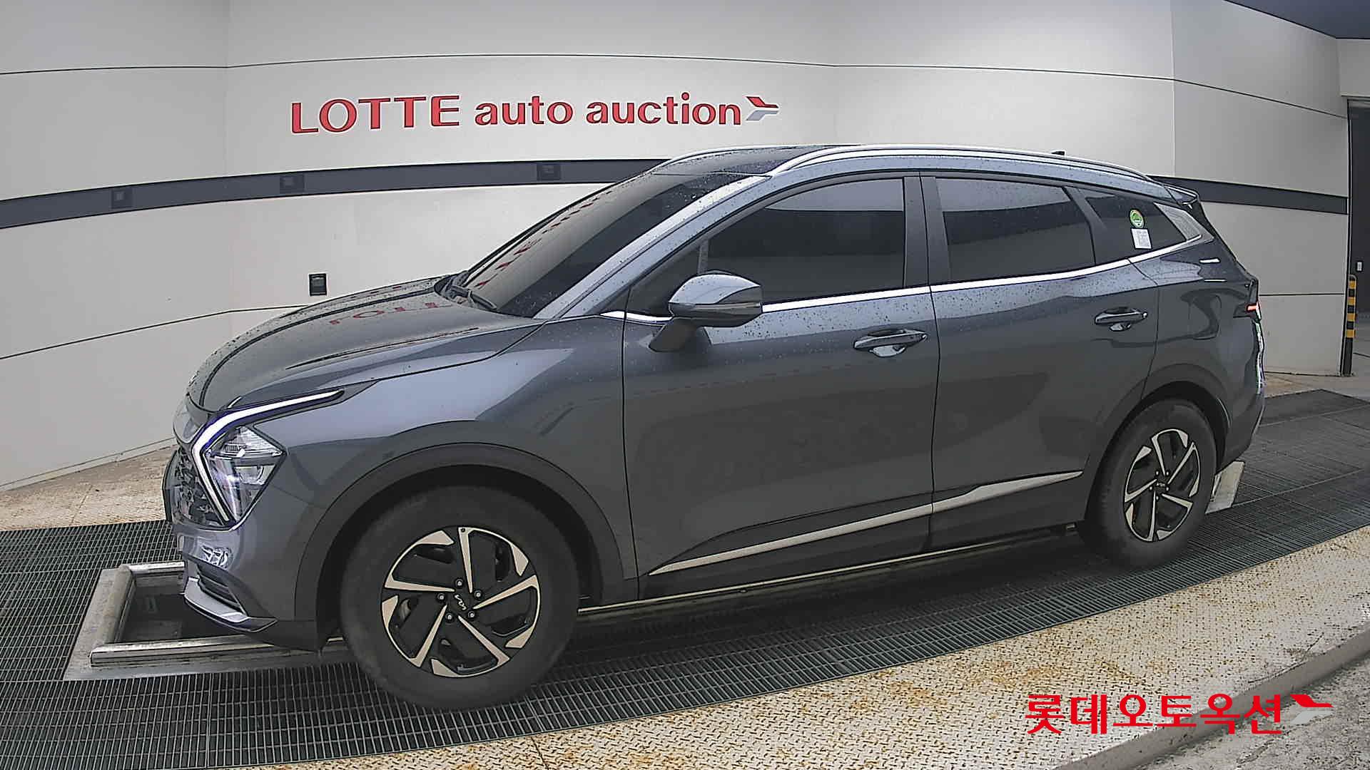 2023 - kia sportage