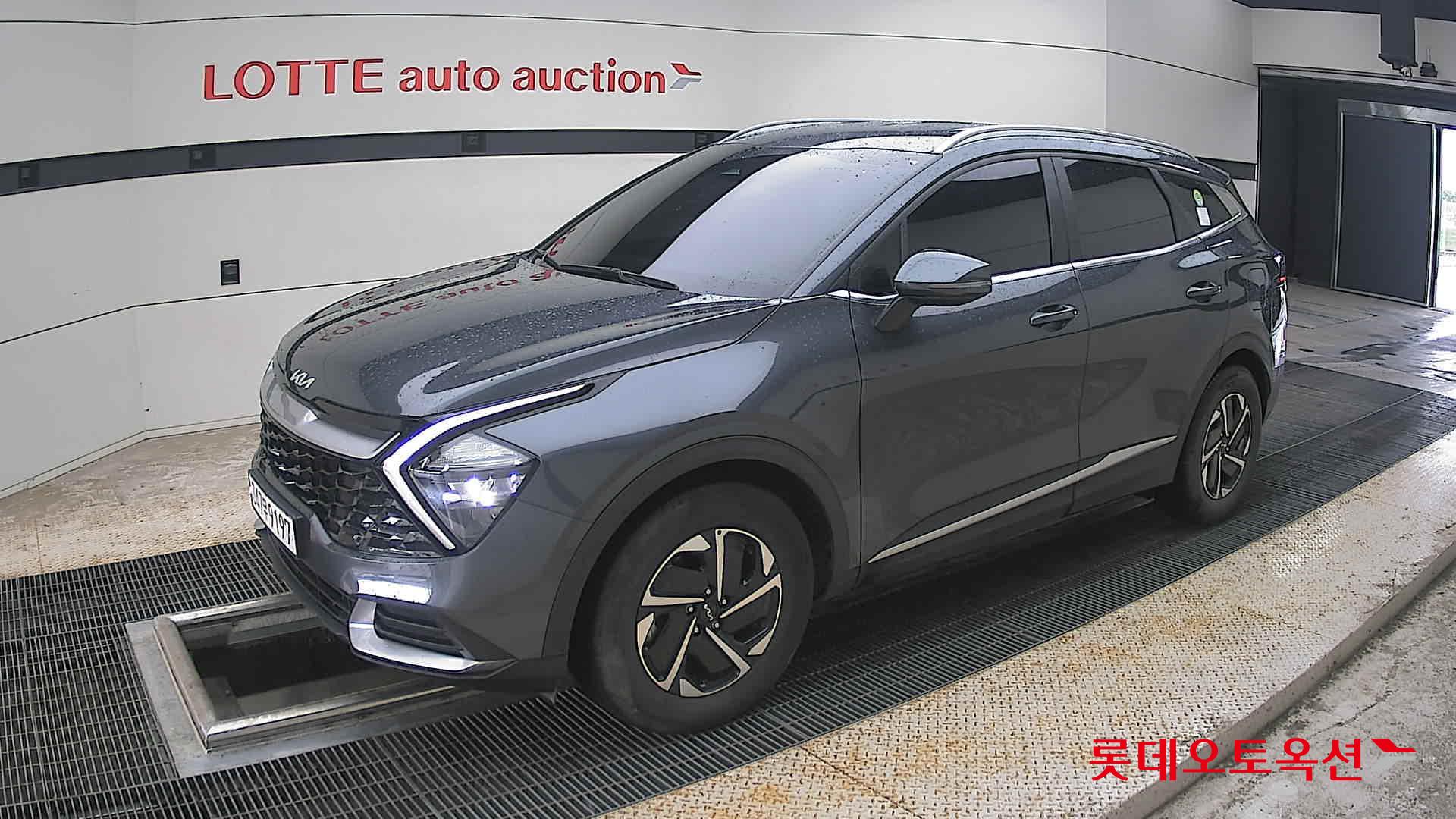 2023 - kia sportage