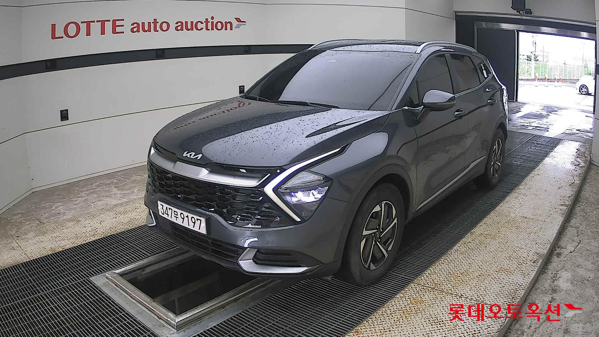 2023 - kia sportage