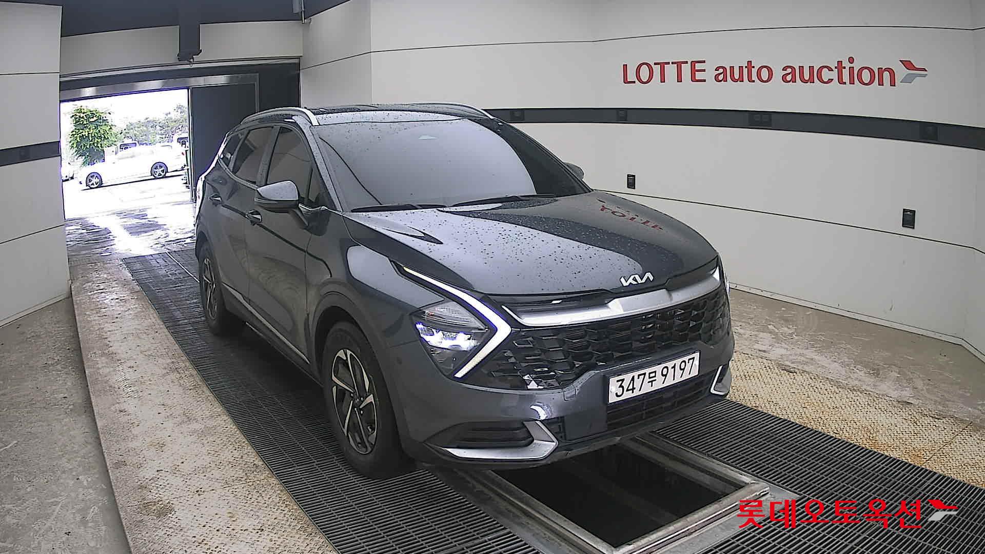 2023 - kia sportage