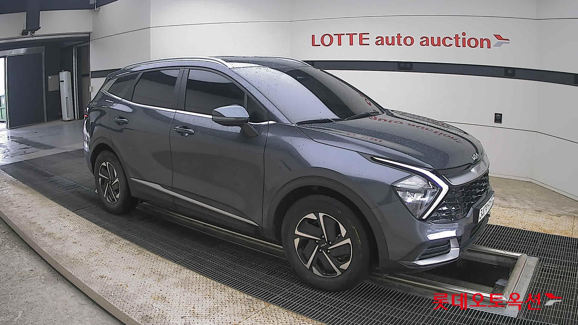 2023 - kia sportage