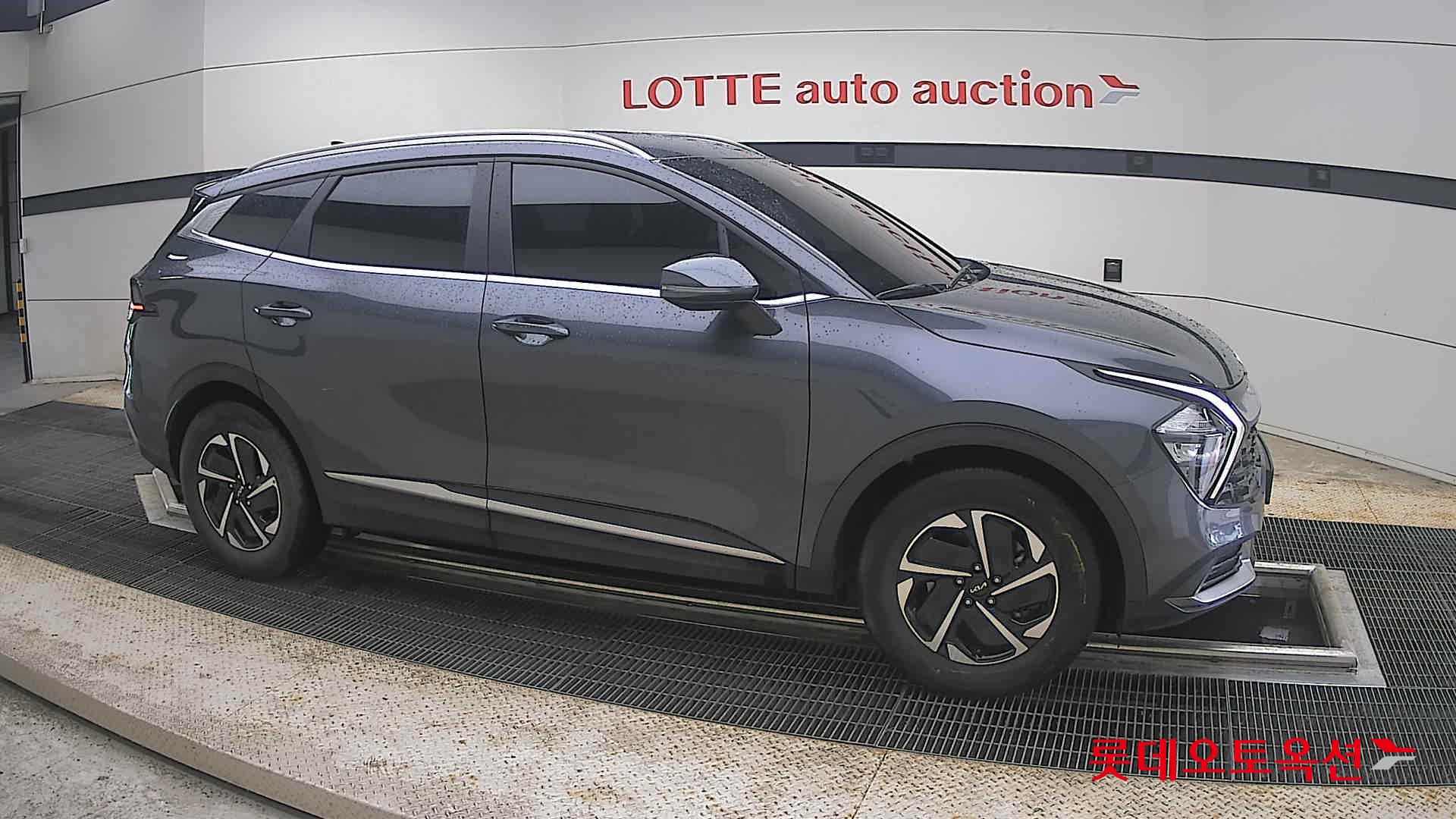 2023 - kia sportage