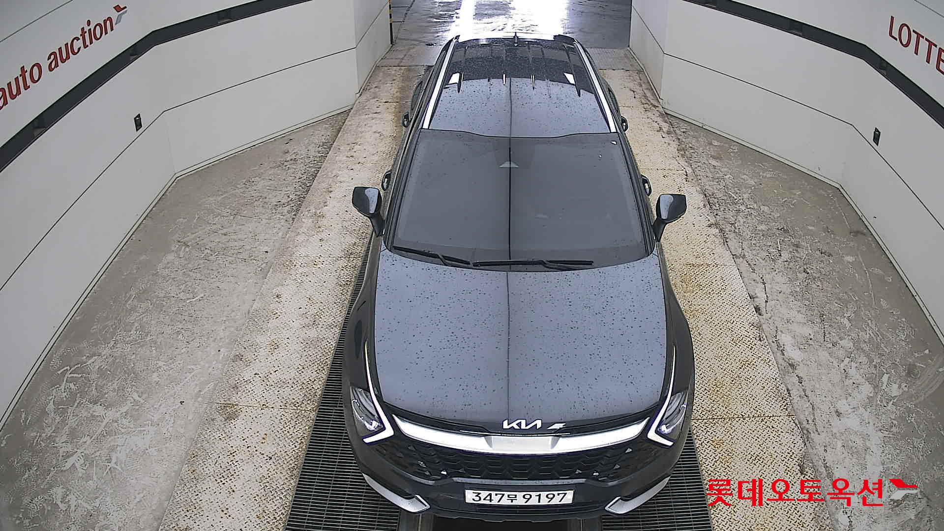 2023 - kia sportage