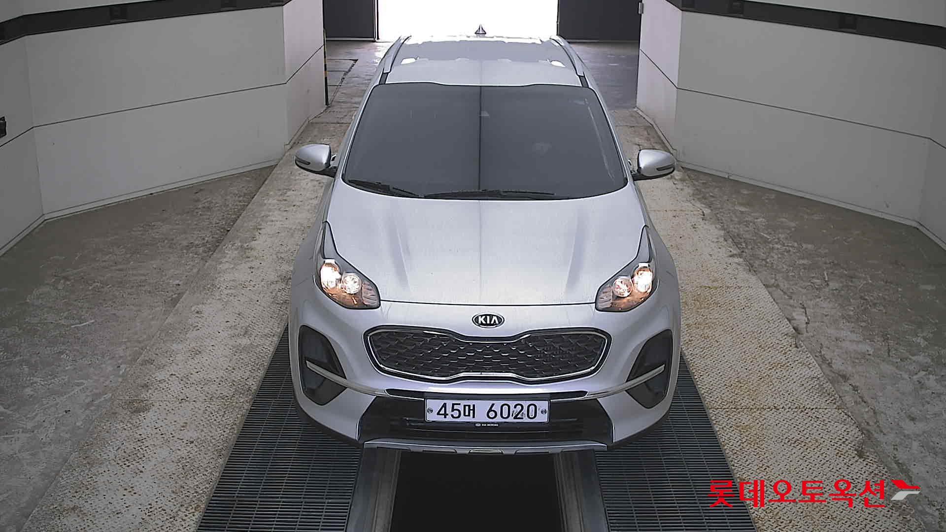 BOLD SPORTAGE (D)