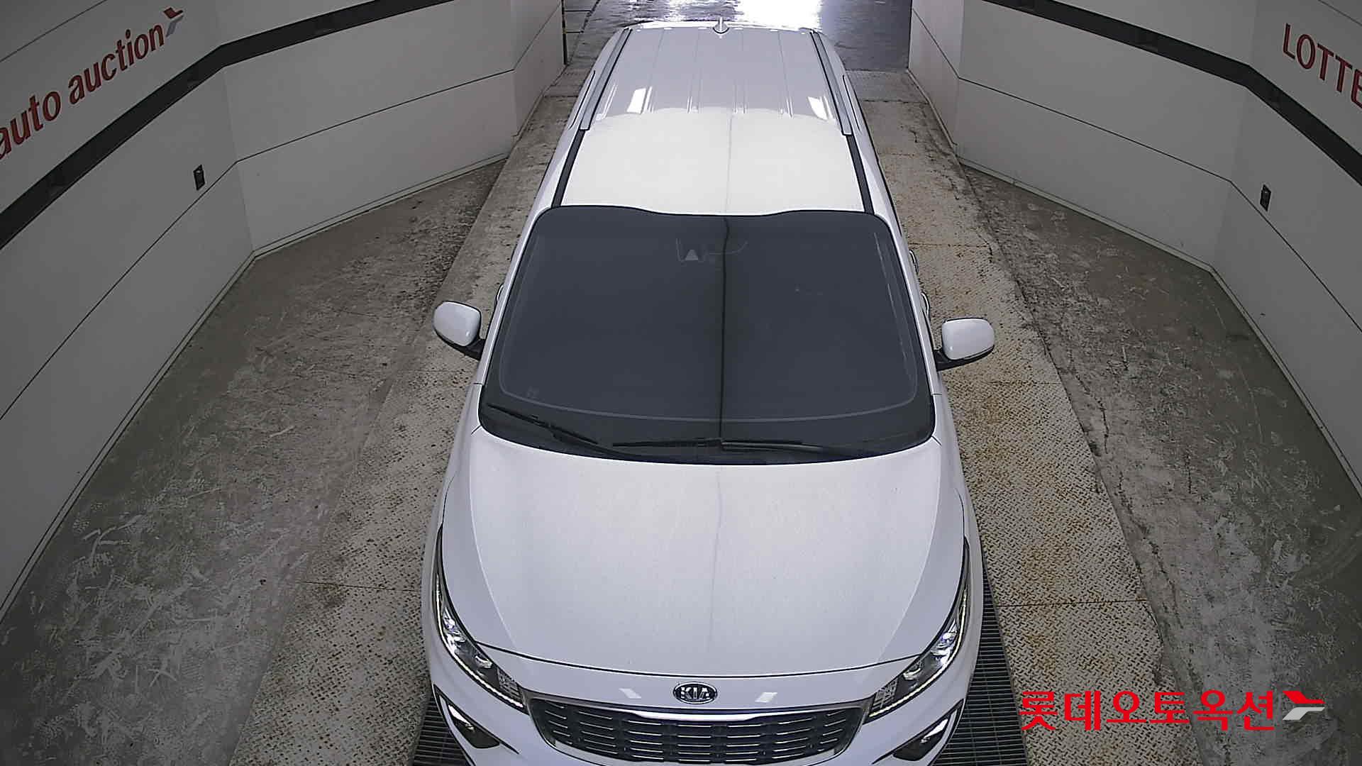 2019 - kia carnival
