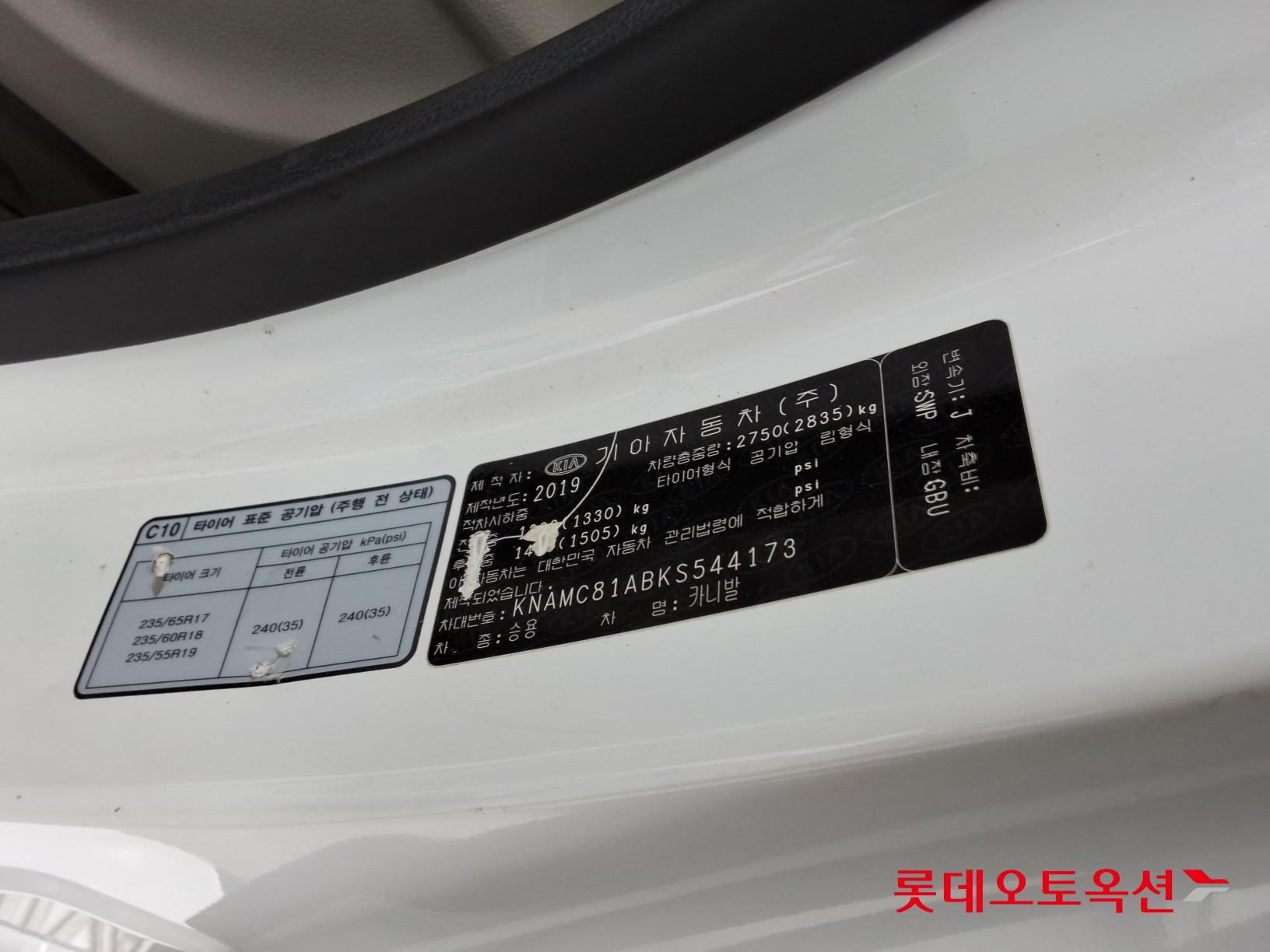 2019 - kia carnival