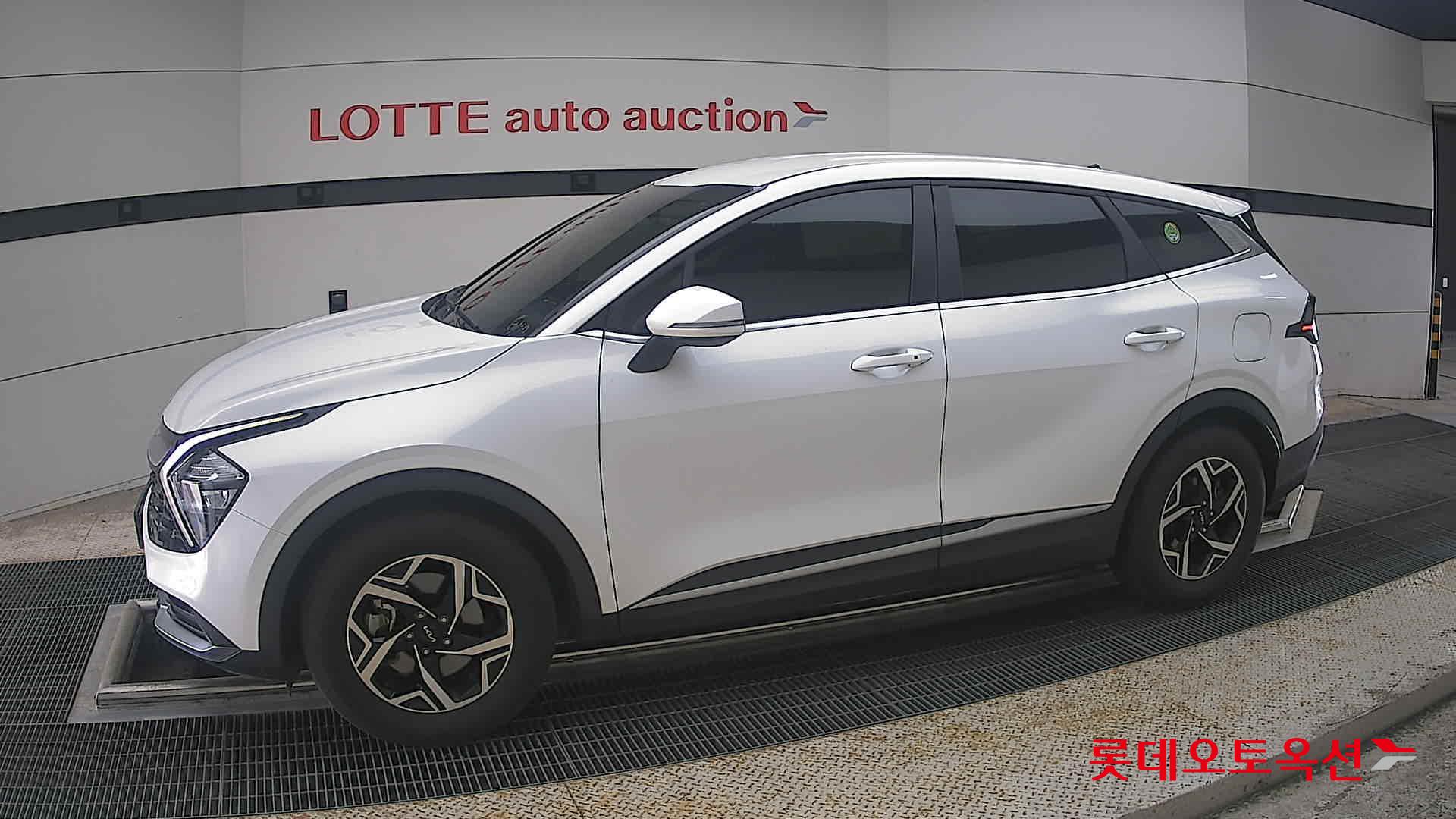 2024 - kia sportage
