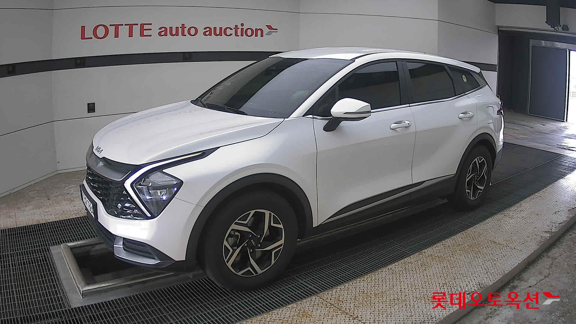 2024 - kia sportage