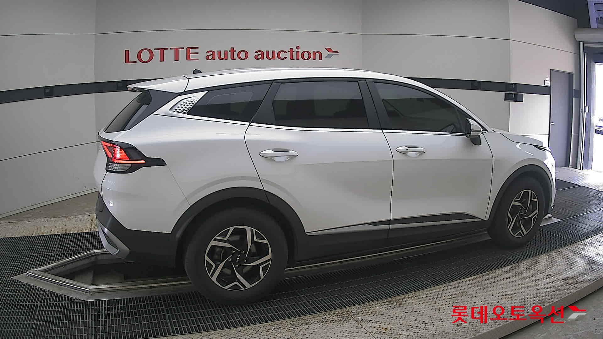 2024 - kia sportage