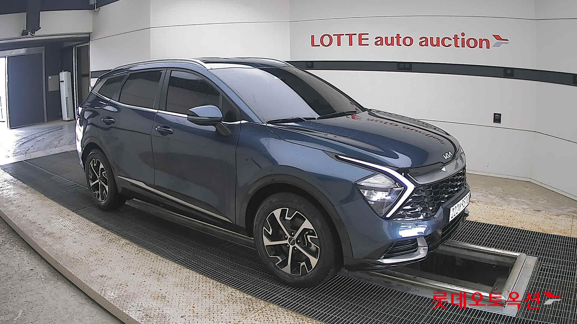 2023 - kia sportage