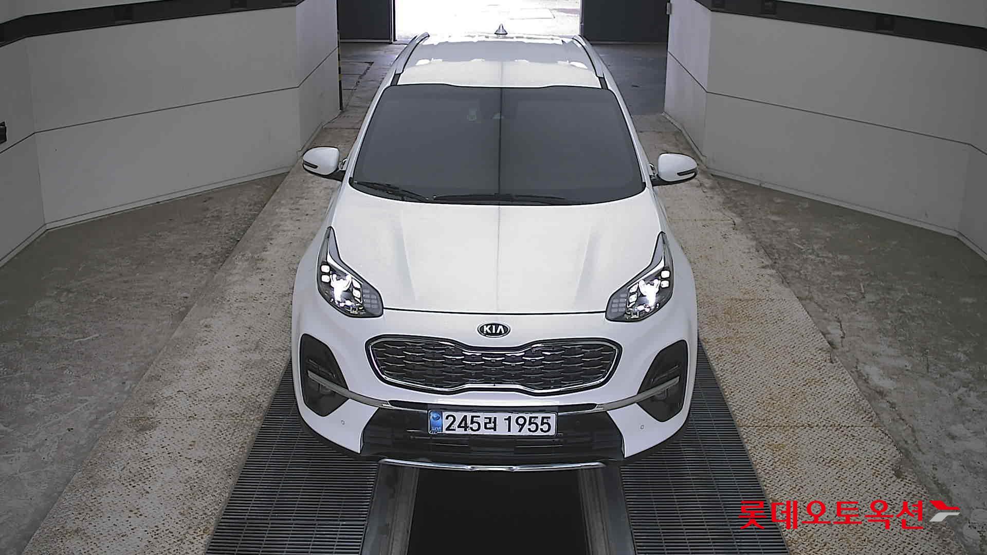BOLD SPORTAGE (G)