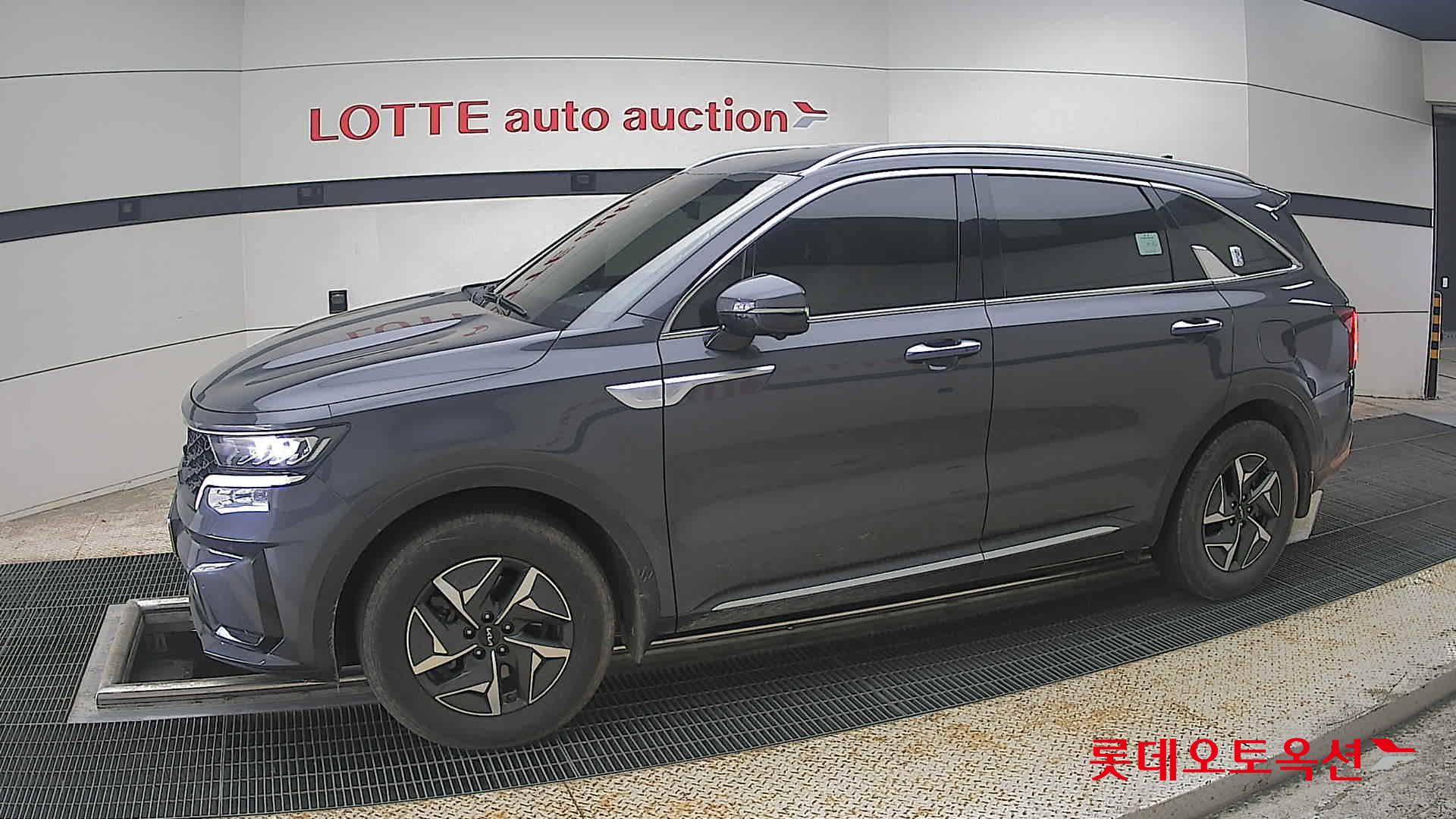 2023 - kia sorento