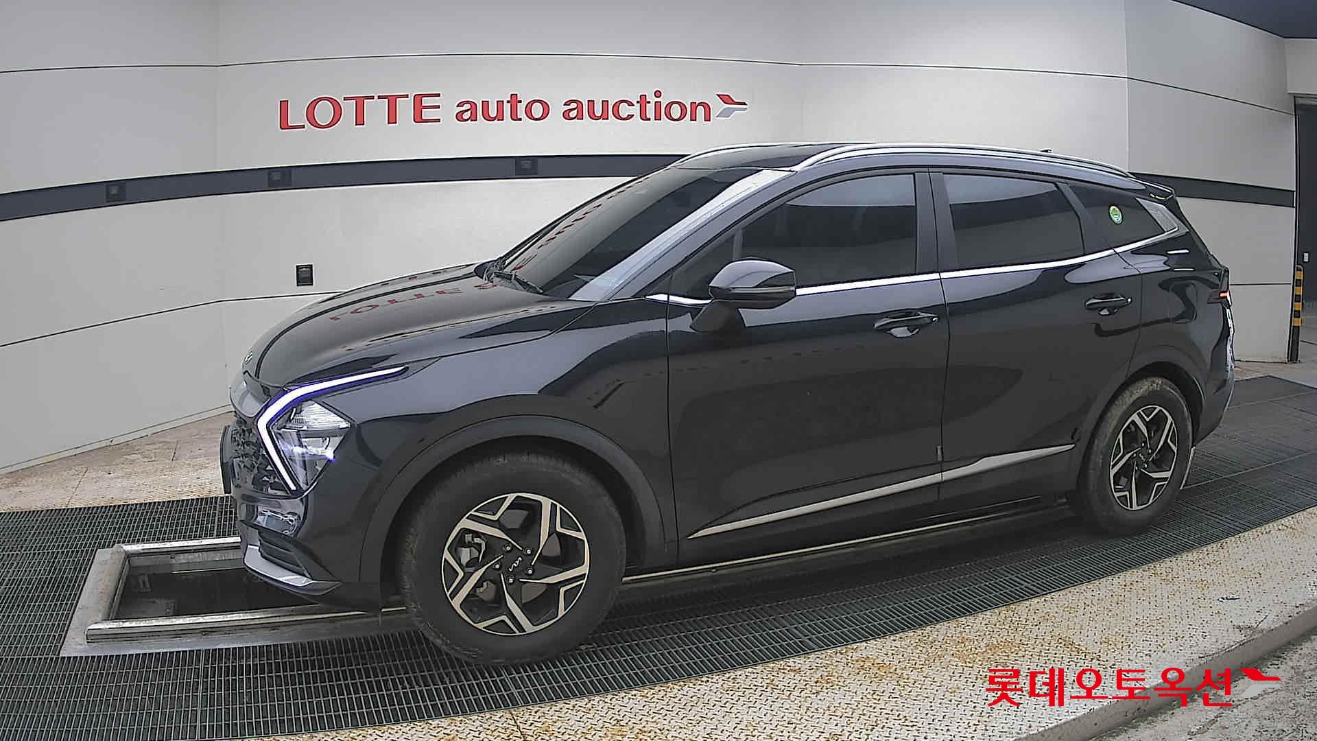 2023 - kia sportage