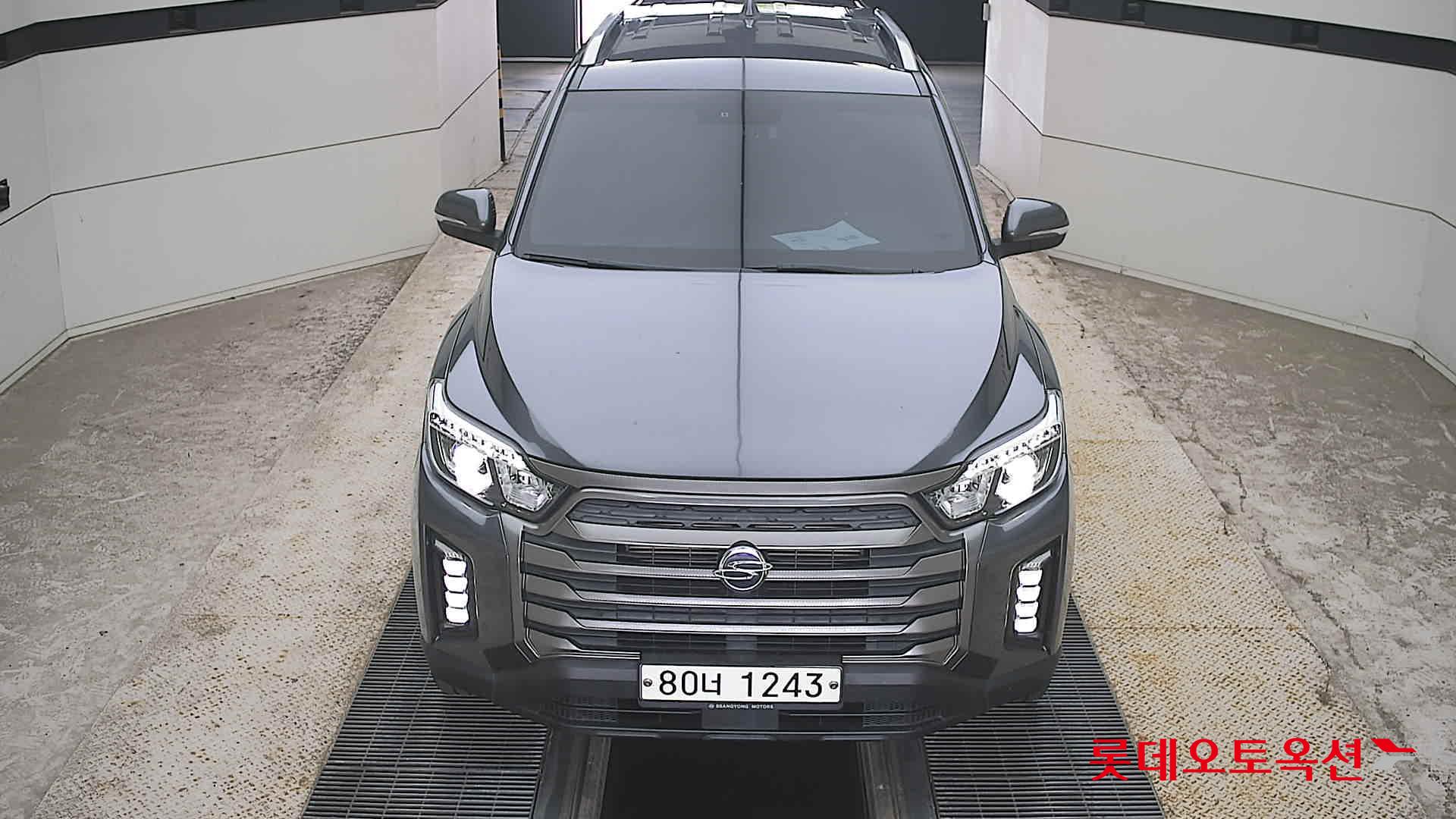 REXTON SPORTS (D)