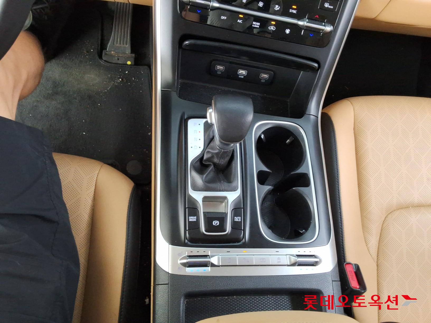 2021 - kia carnival