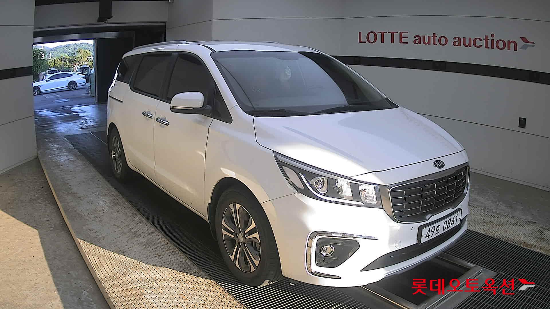 2019 - kia carnival