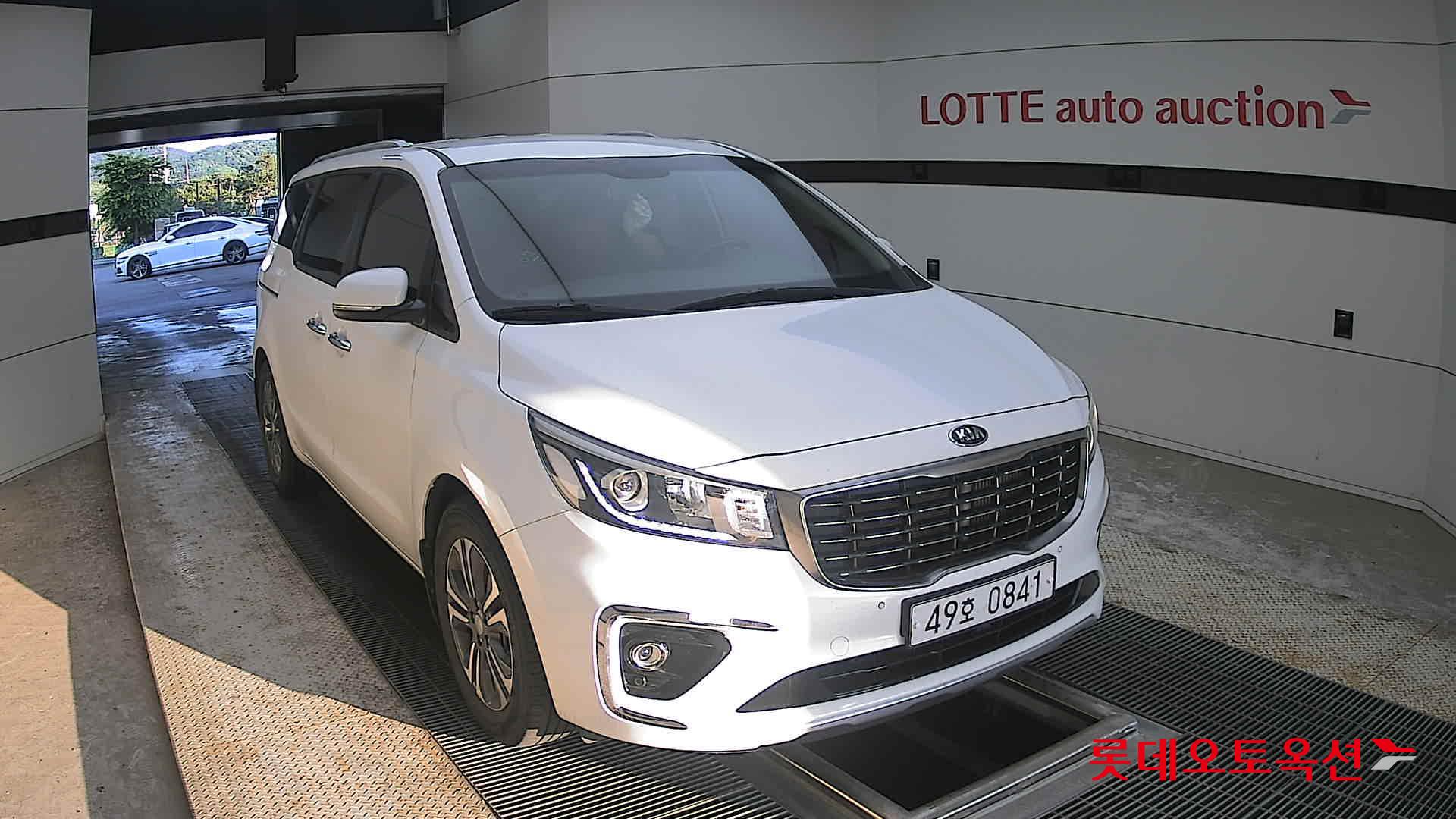 2019 - kia carnival