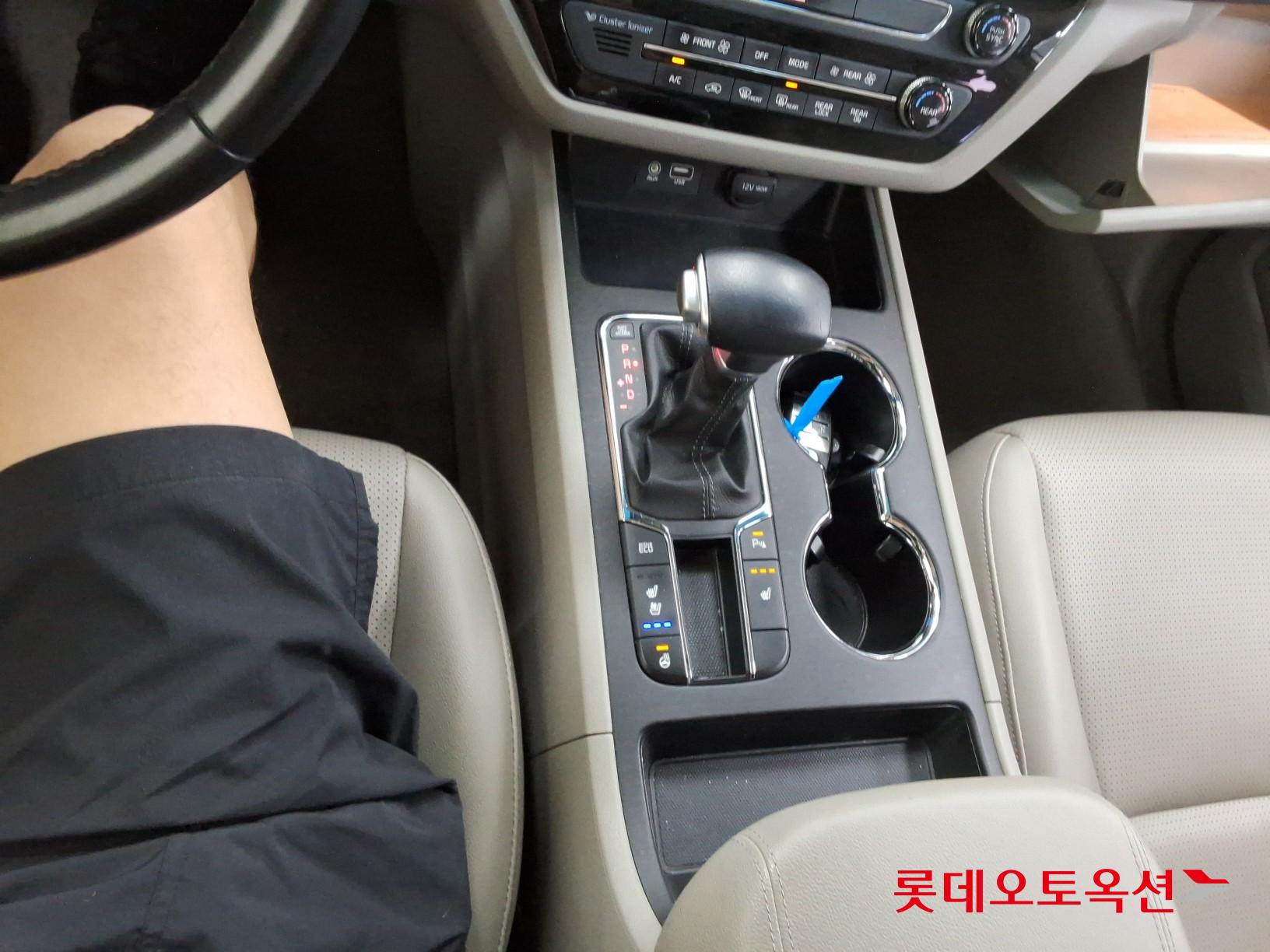 2019 - kia carnival