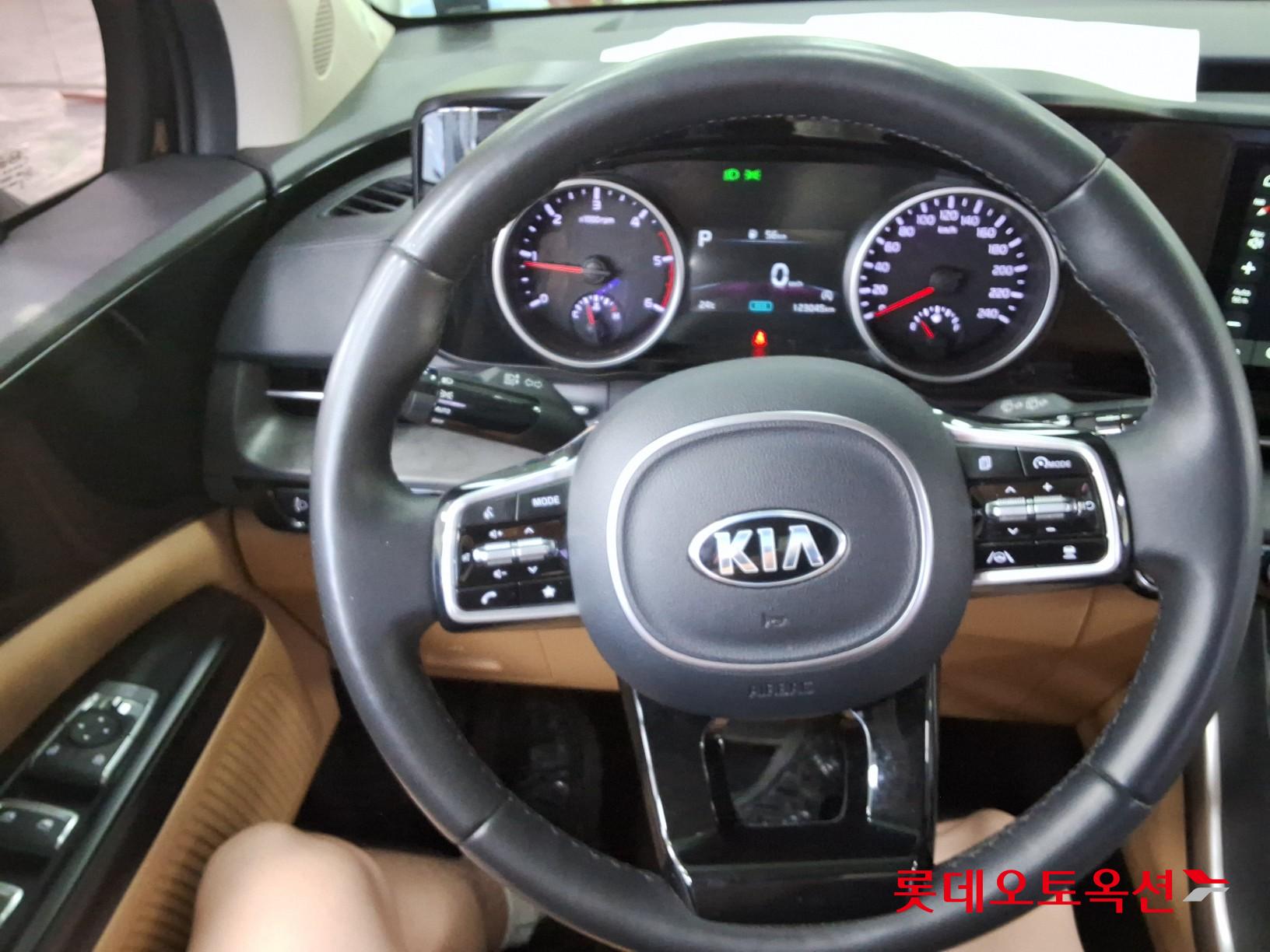 2021 - kia carnival