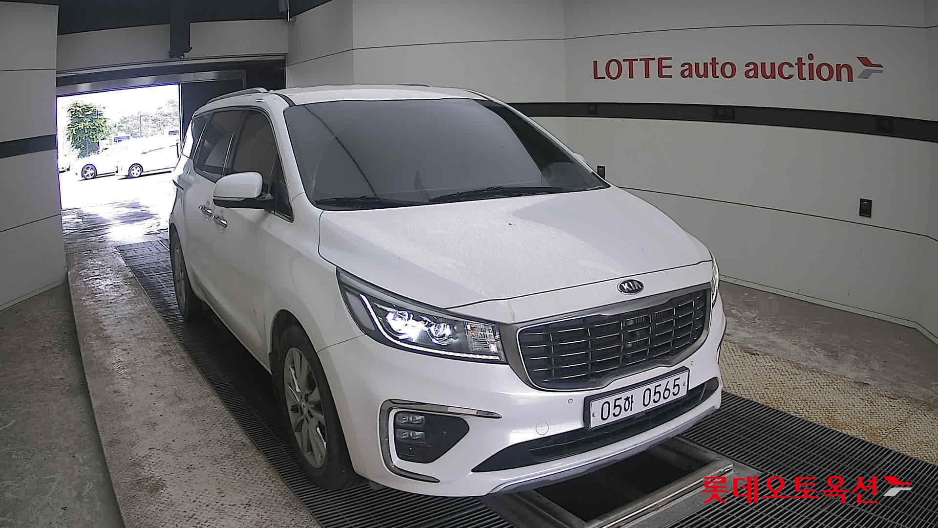 2019 - kia carnival