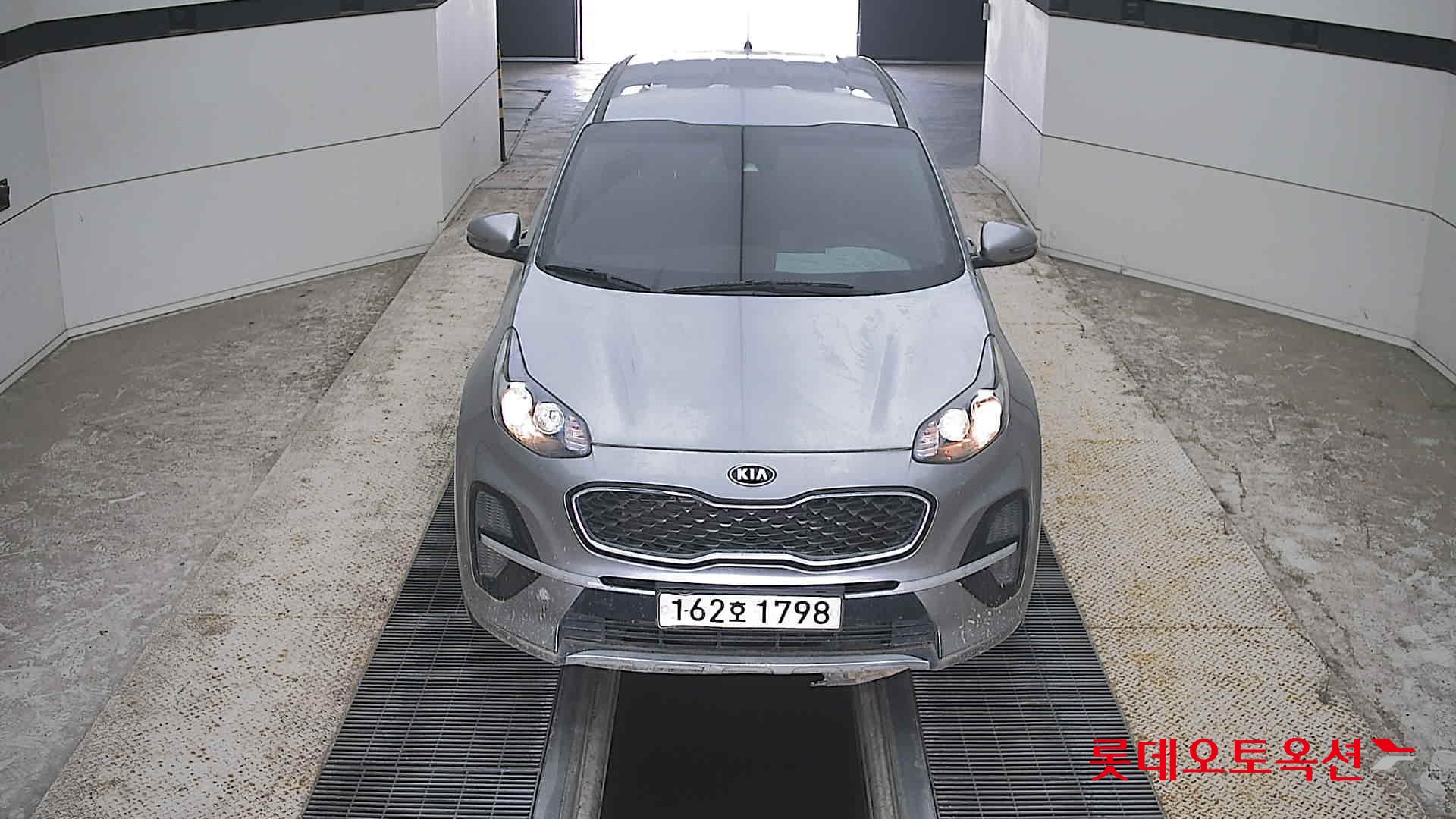 BOLD SPORTAGE (D)