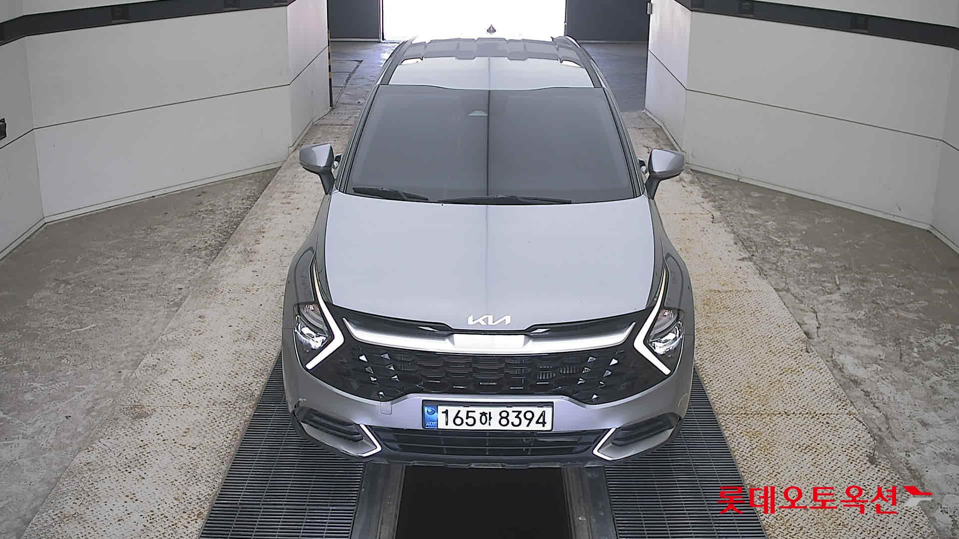 SPORTAGE NQ5 (D)