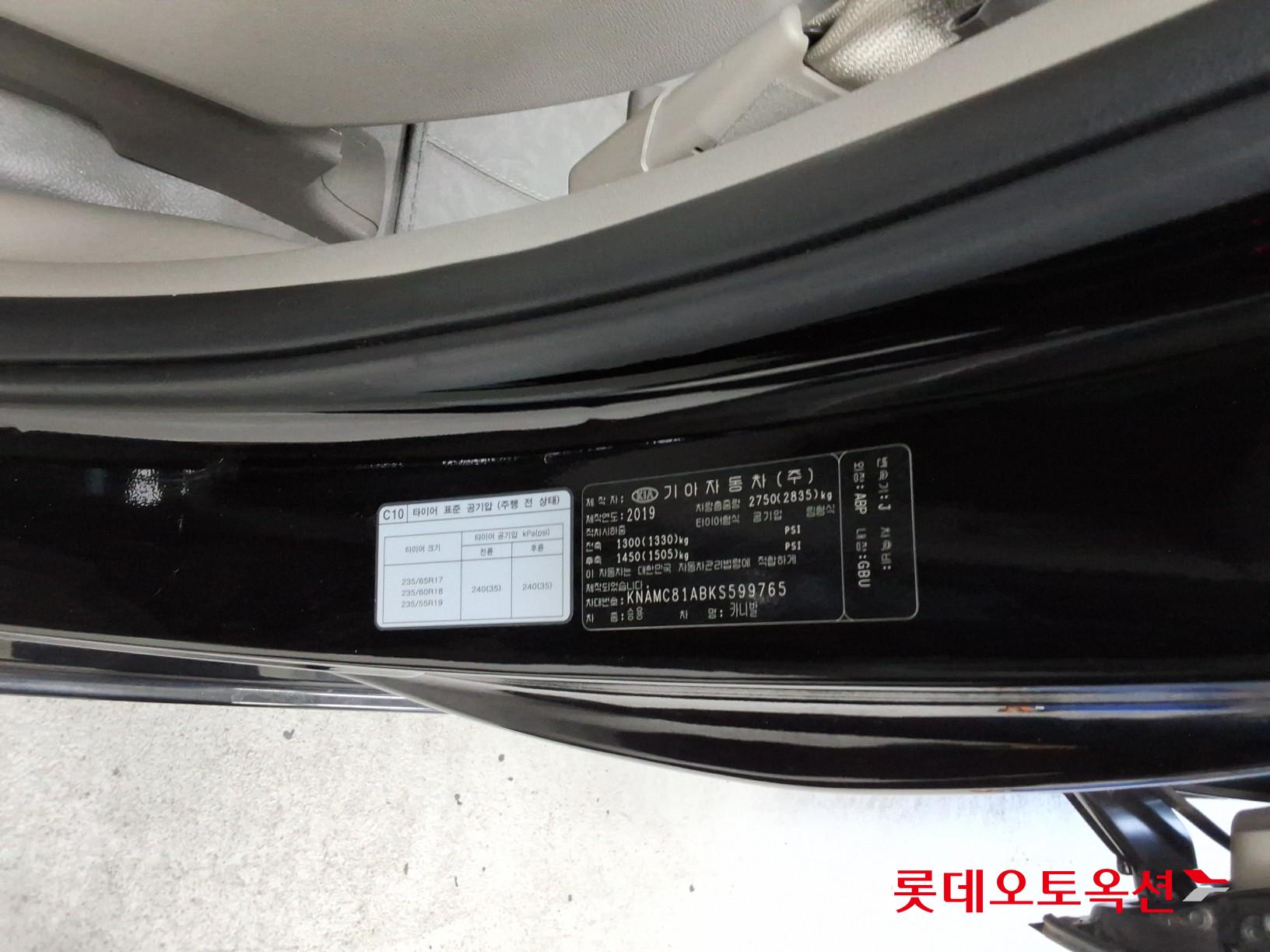 2019 - kia carnival