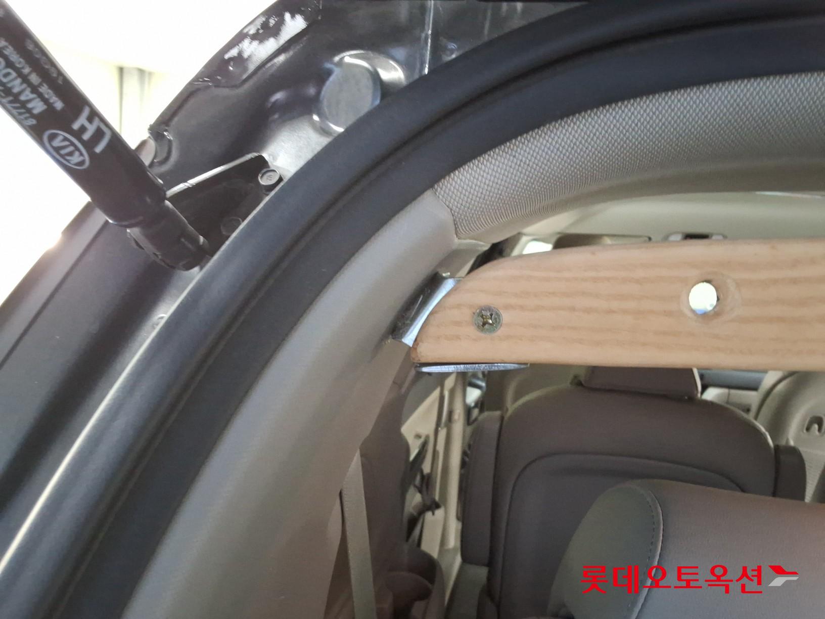 2019 - kia carnival