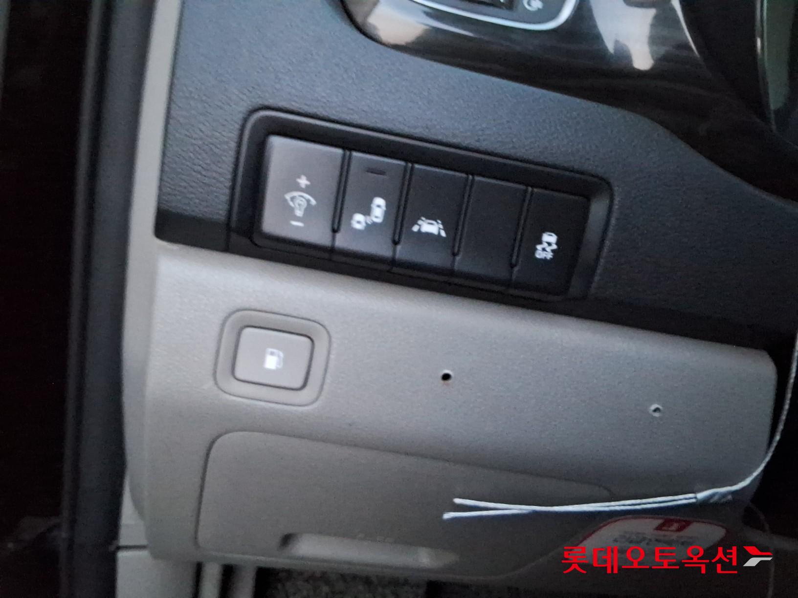 2019 - kia carnival