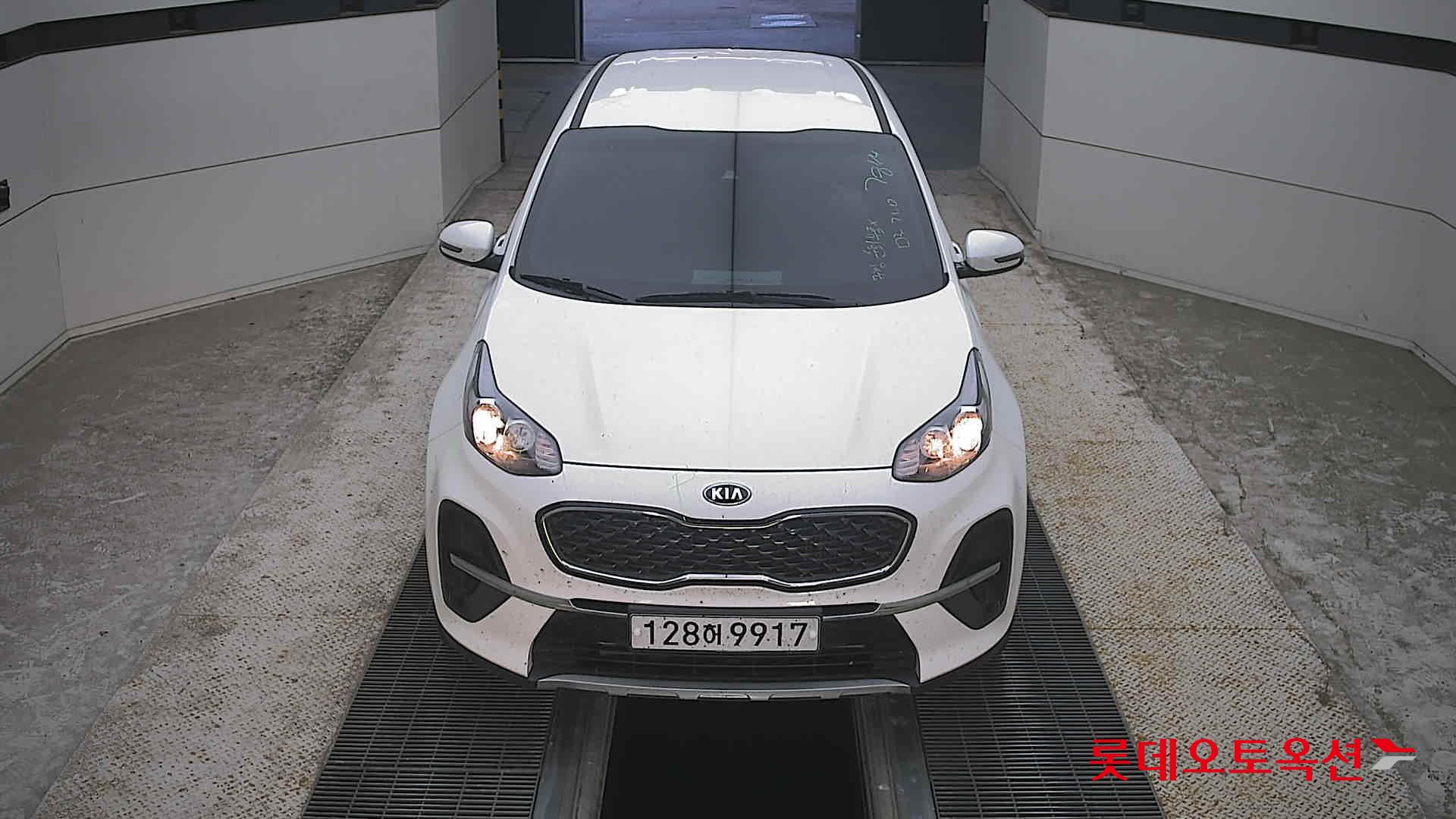 BOLD SPORTAGE (D)