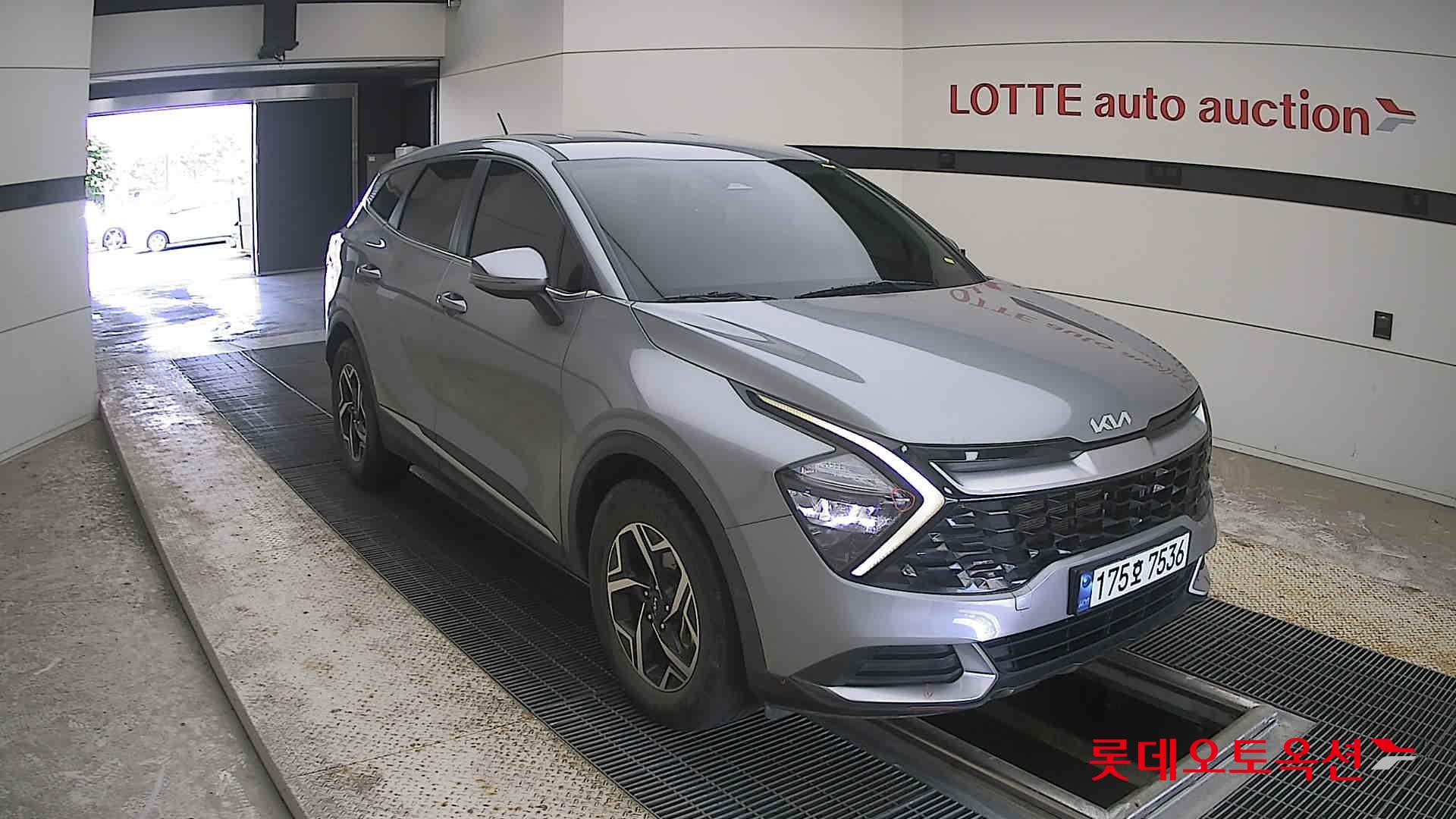 2023 - kia sportage