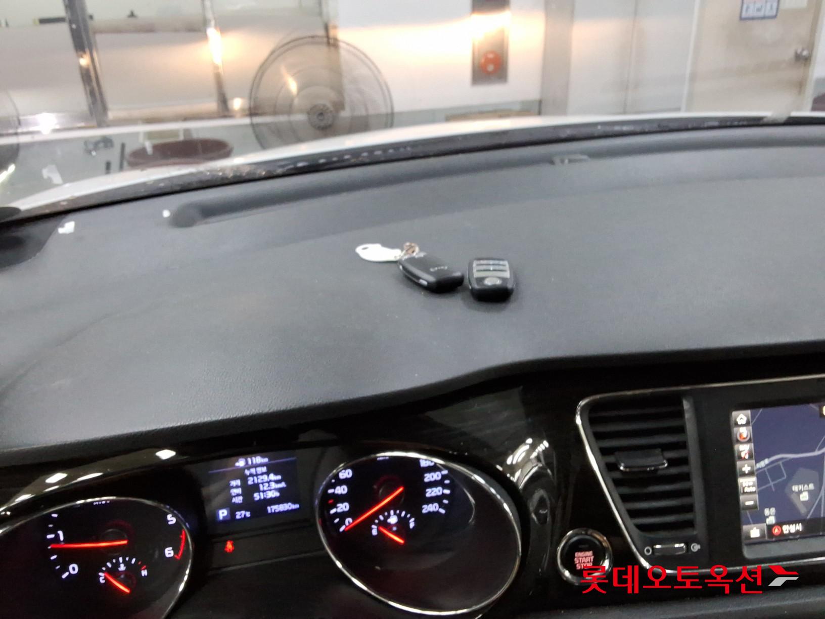 2019 - kia carnival