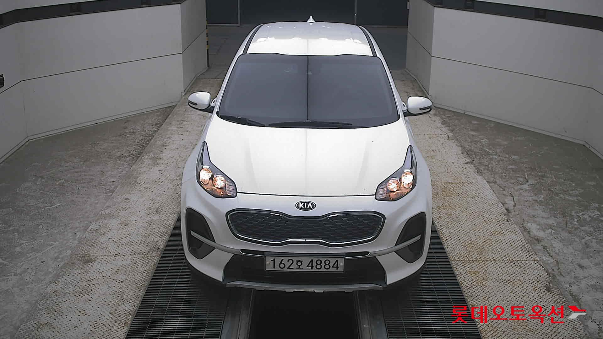 BOLD SPORTAGE (D)