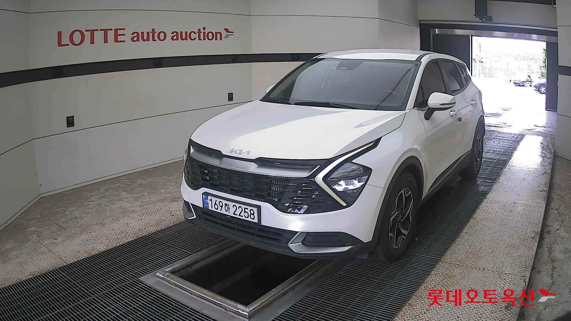 Kia Sportage 2022 Snow White Pearl (optional) из Кореи