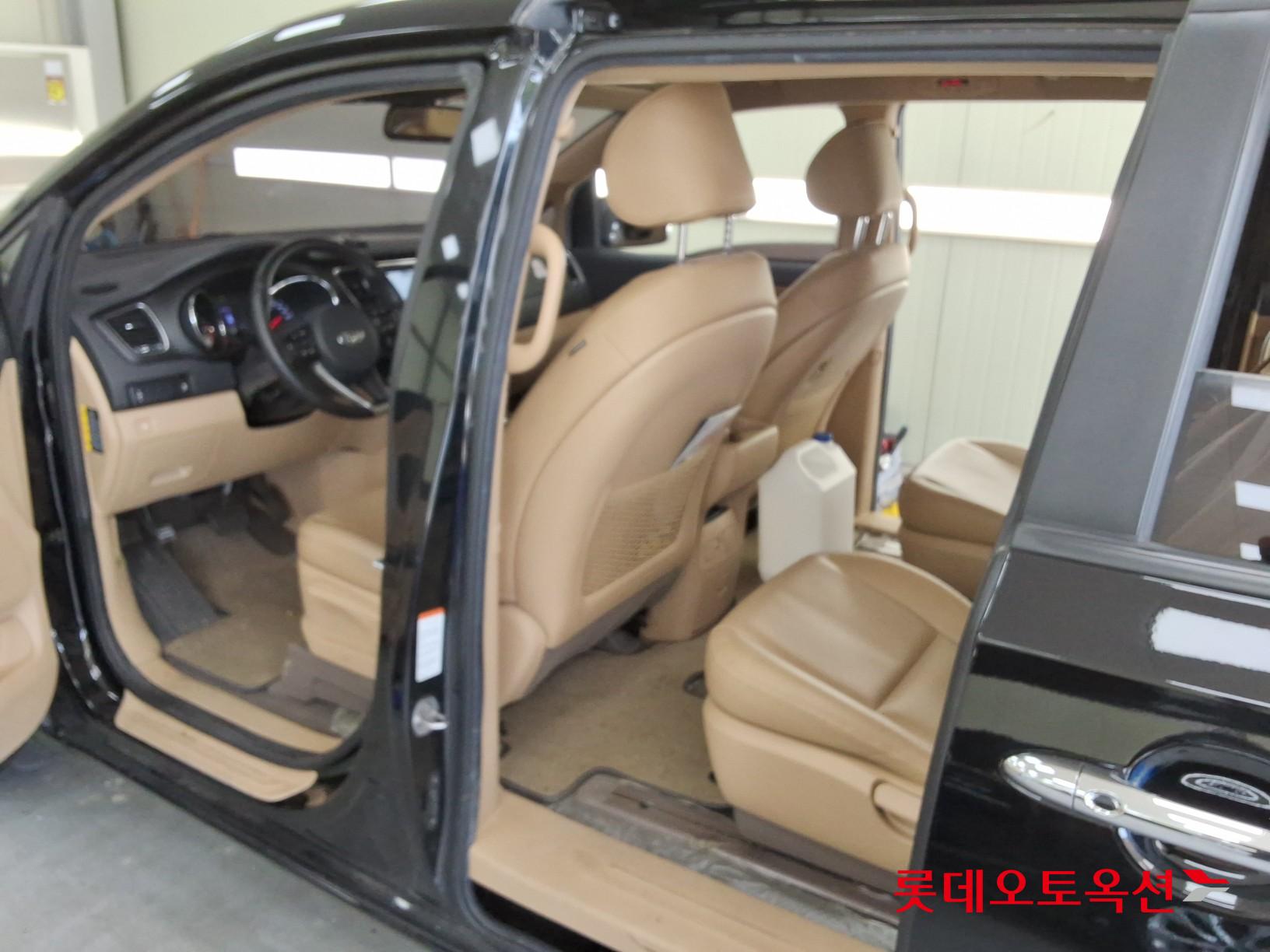 2019 - kia carnival