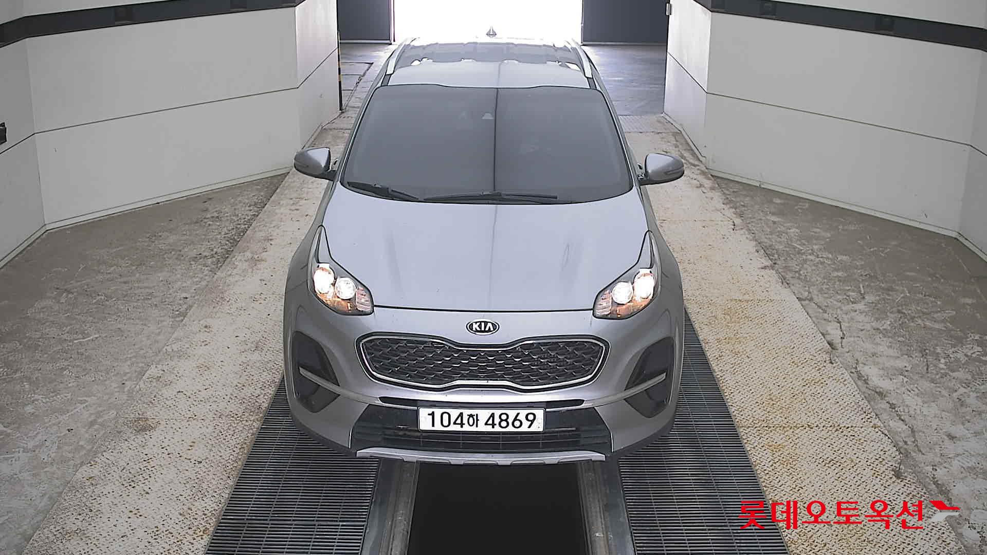 BOLD SPORTAGE (D)