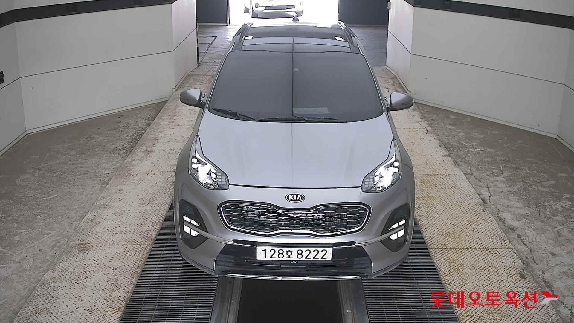 BOLD SPORTAGE (D)