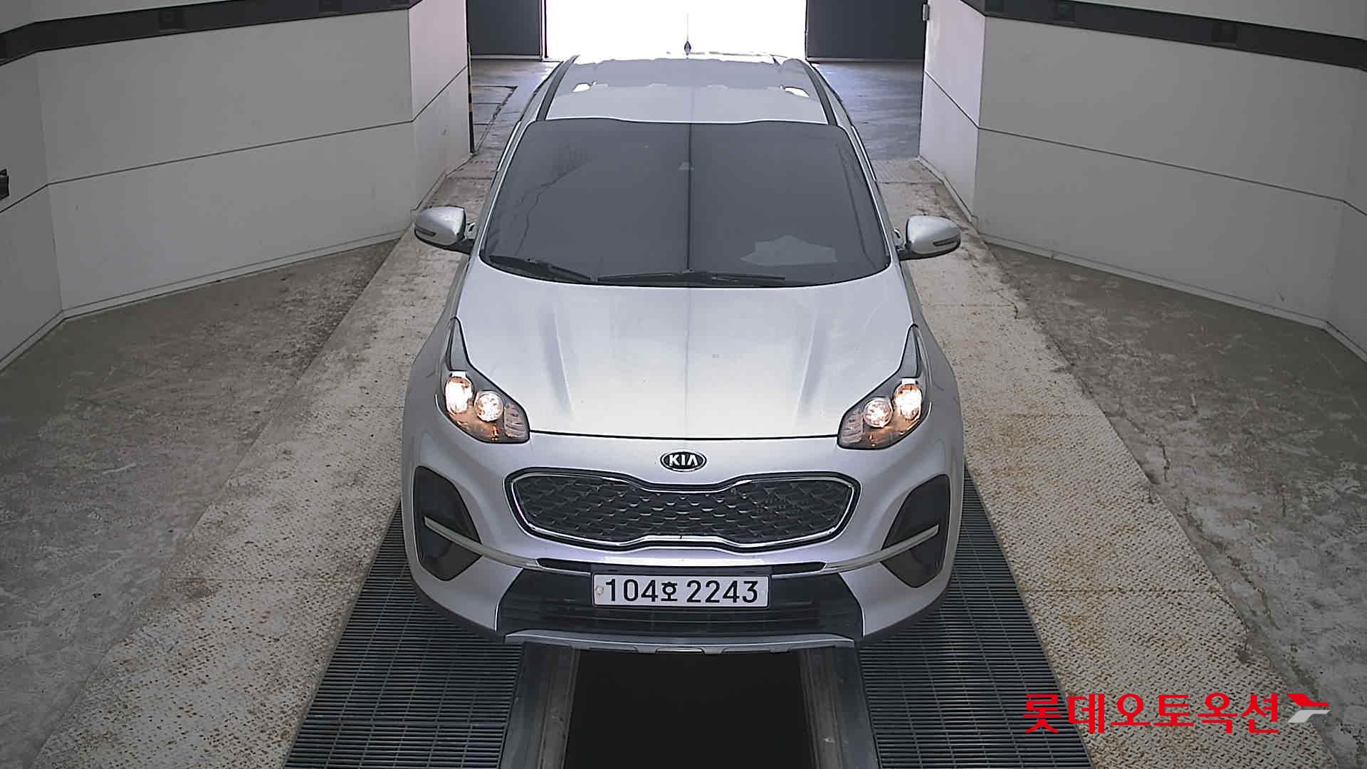 BOLD SPORTAGE (D)