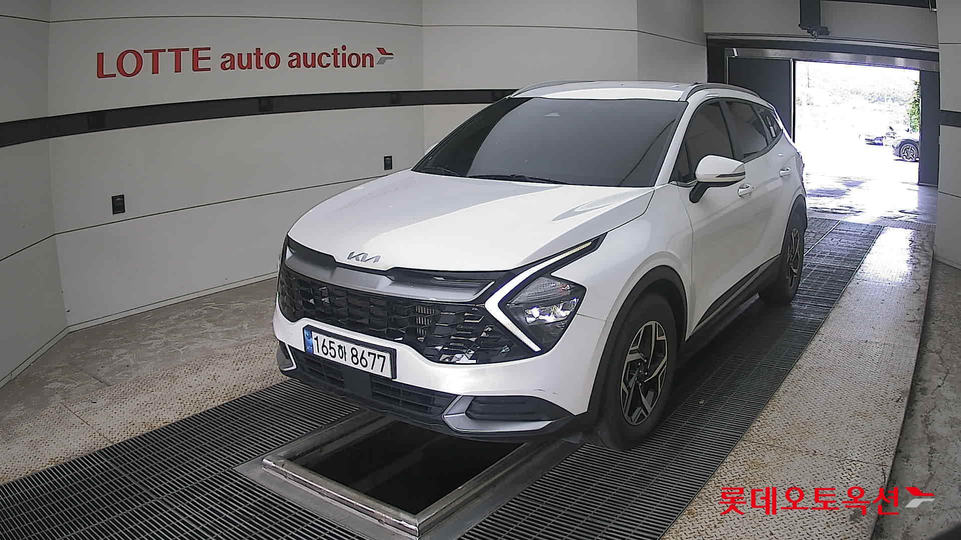 Kia Sportage 2022 Snow White Pearl (optional) из Кореи
