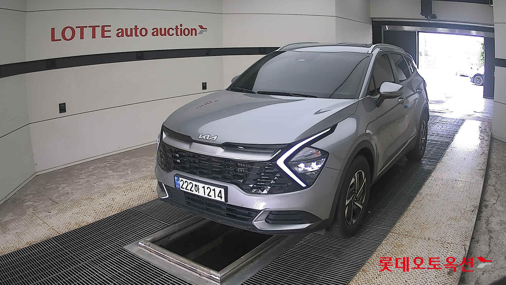2023 - kia sportage