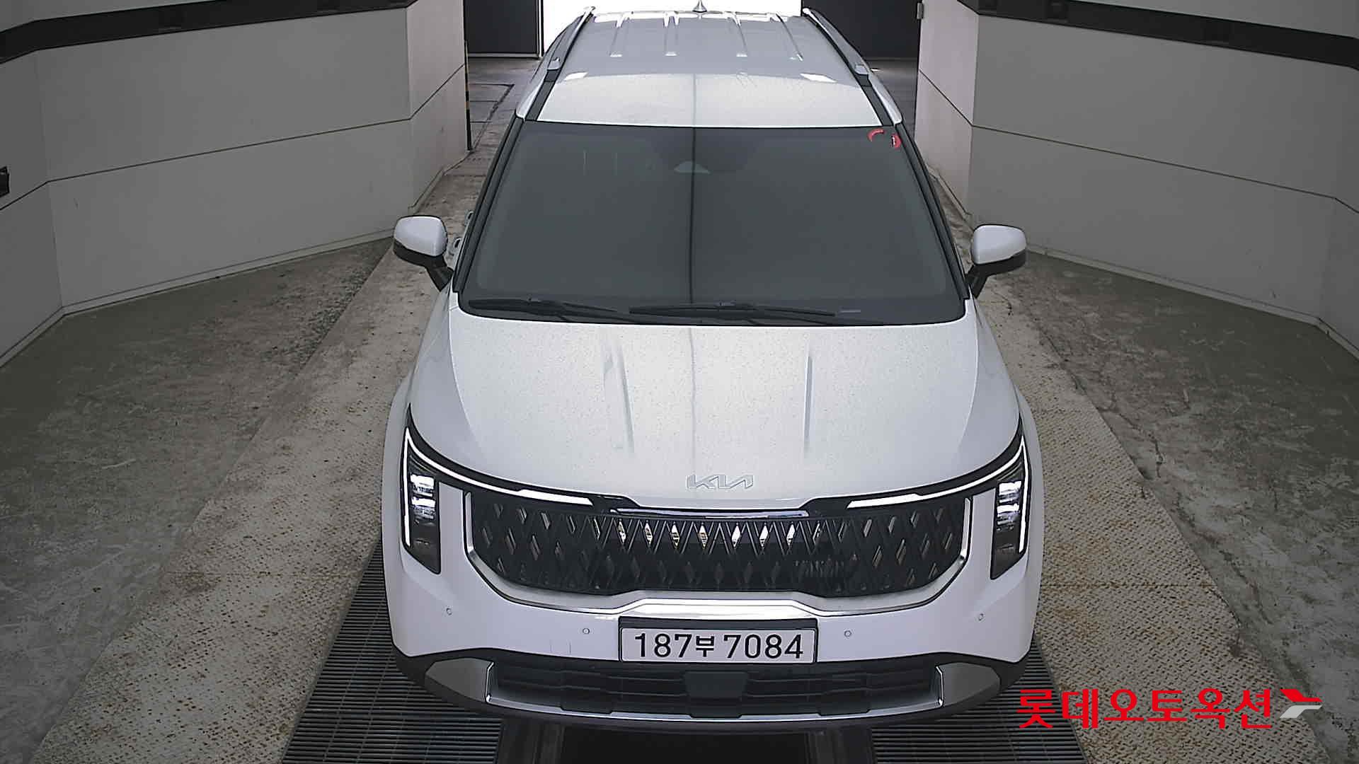 CARNIVAL KA4 (D)