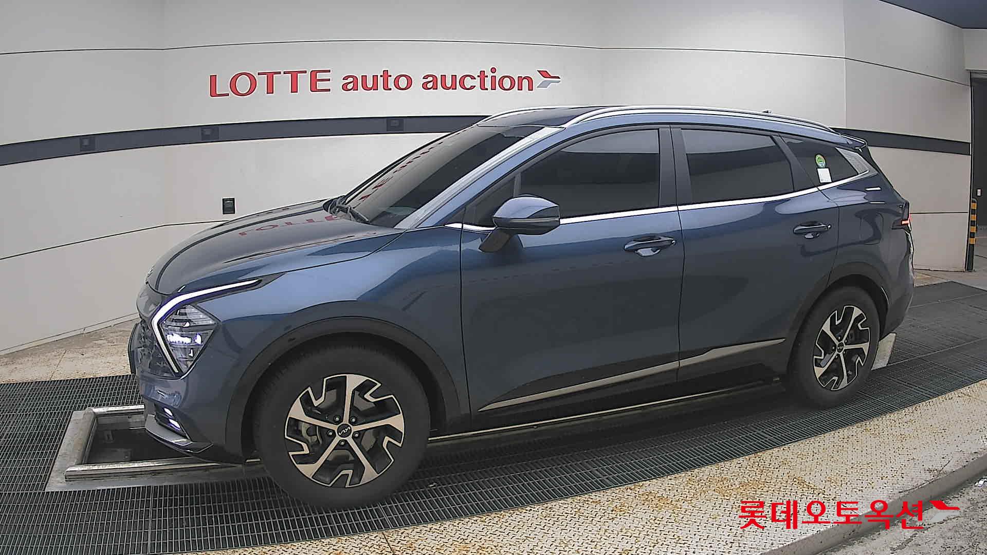 2023 - kia sportage