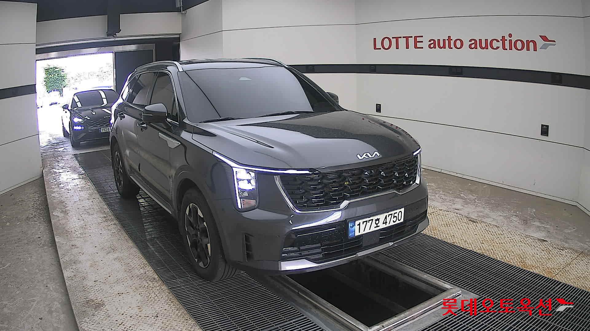 2024 - kia sorento